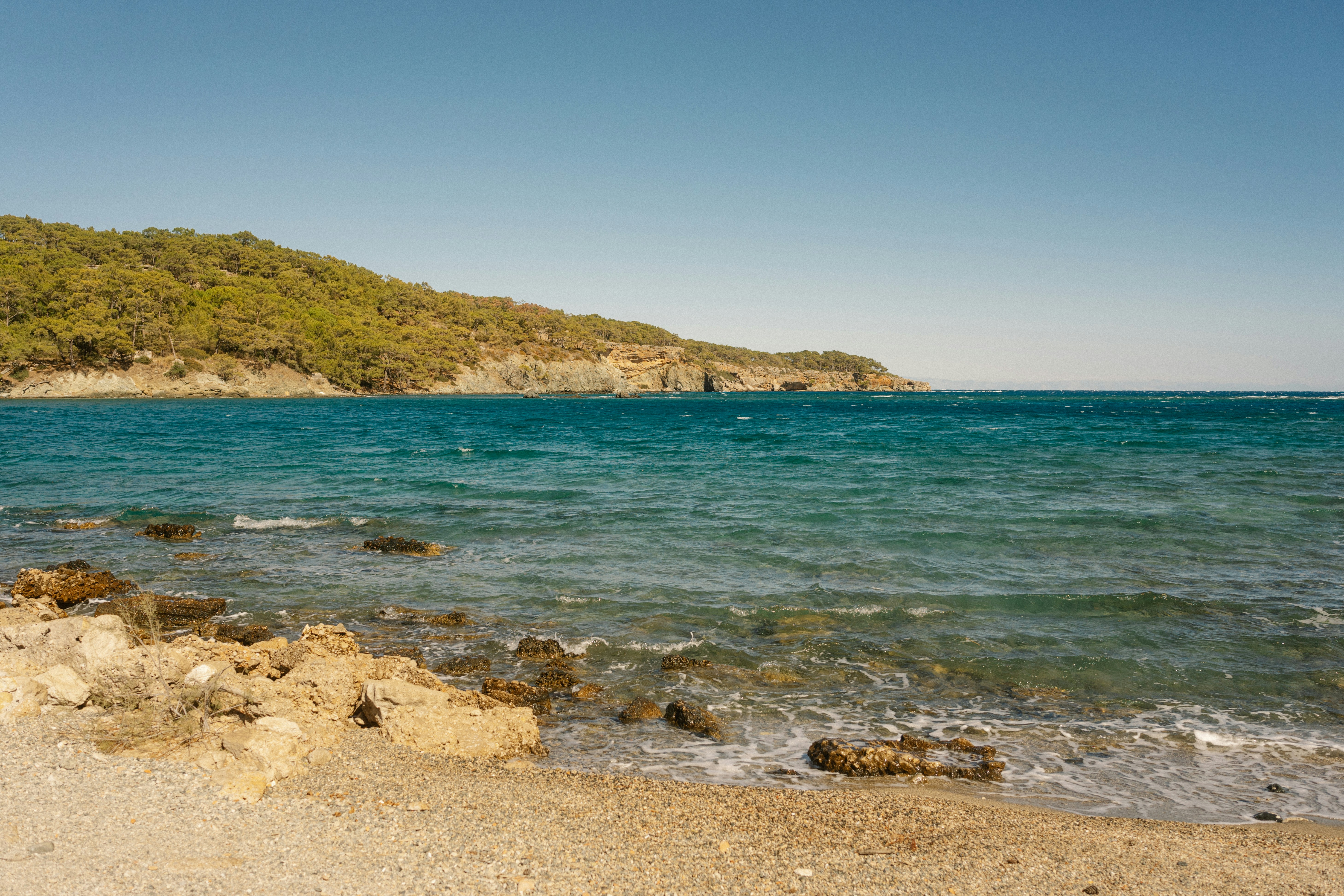 Photo by igorharrier