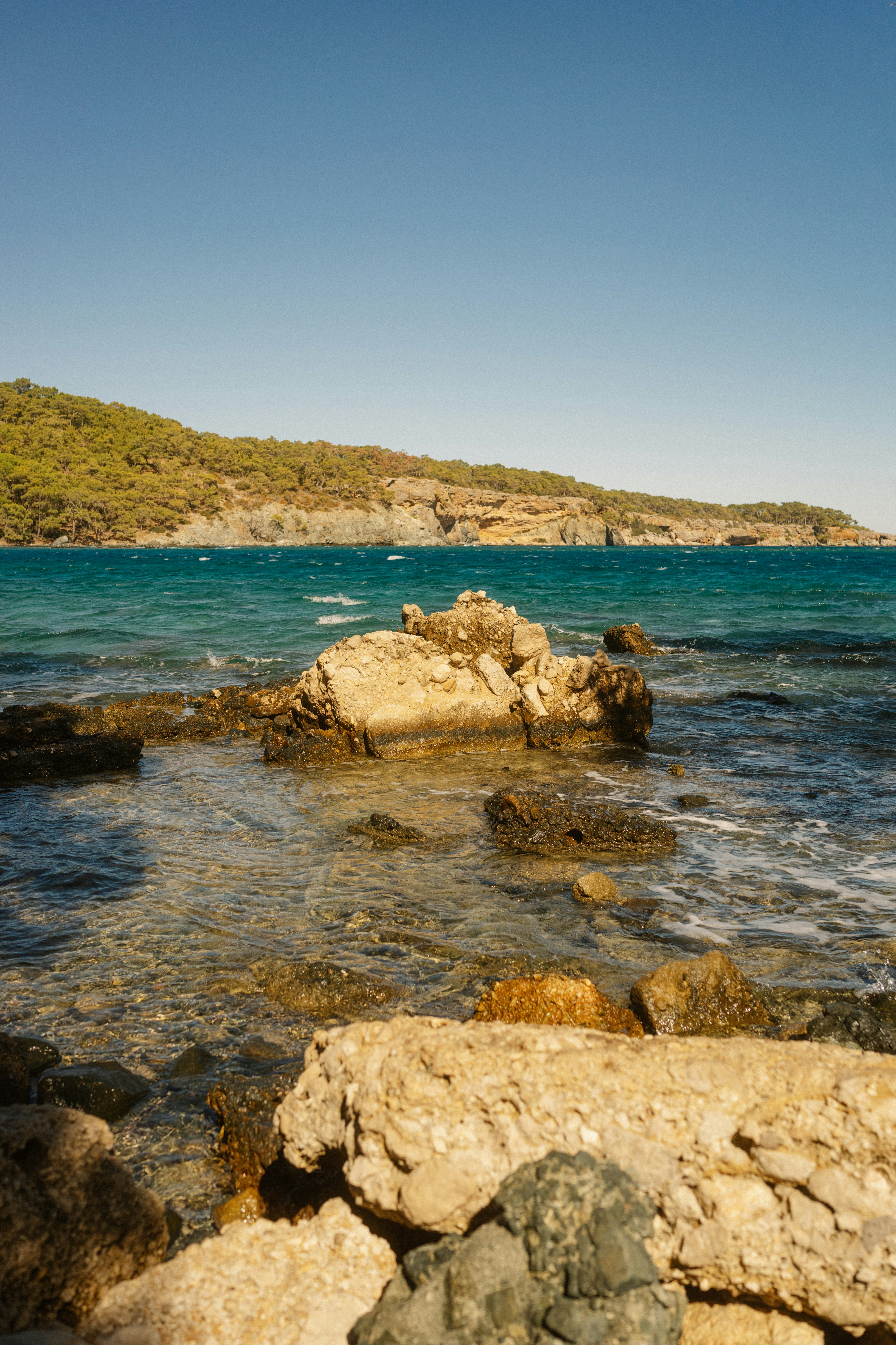 Photo by igorharrier