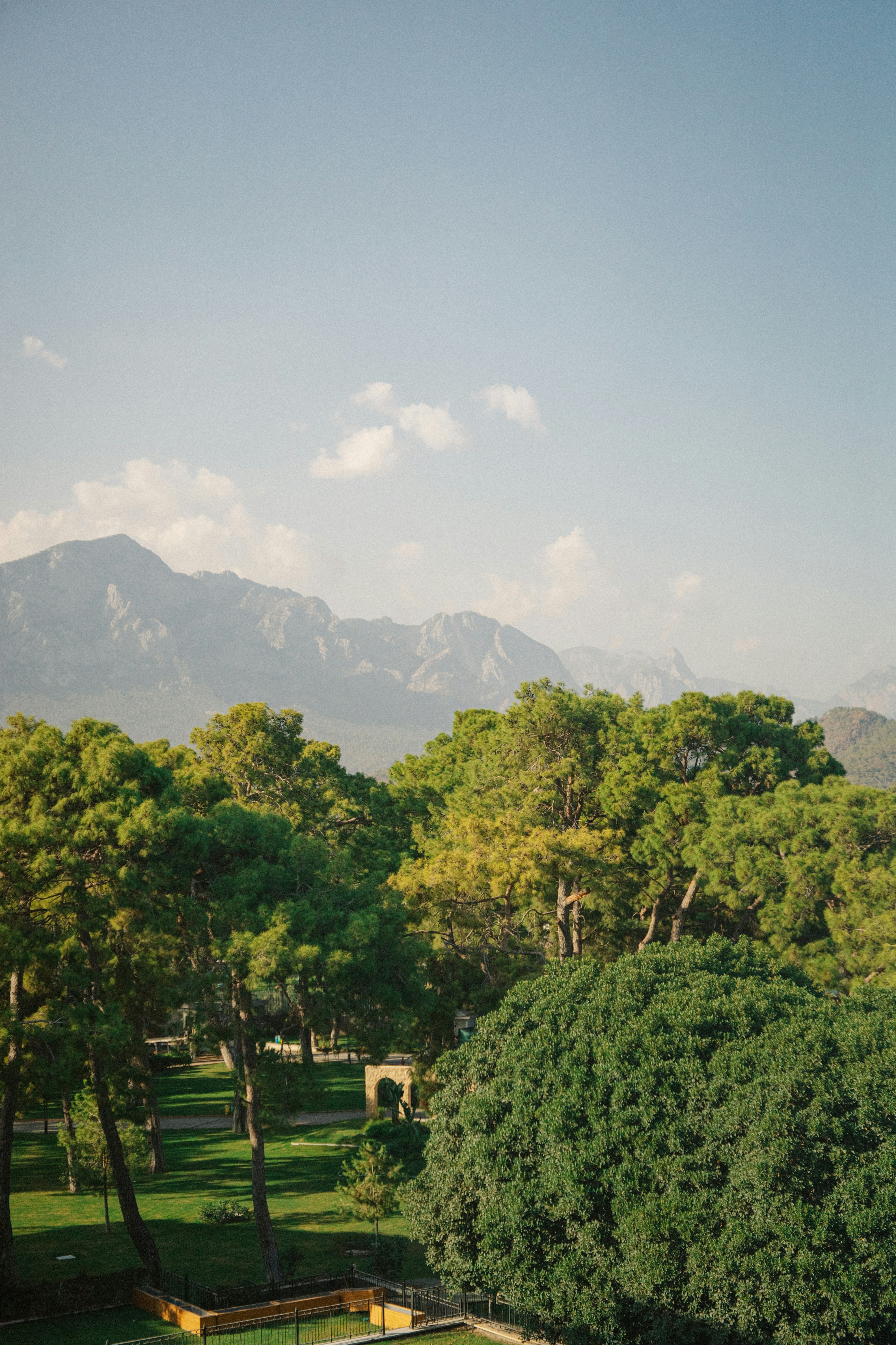 Photo by igorharrier