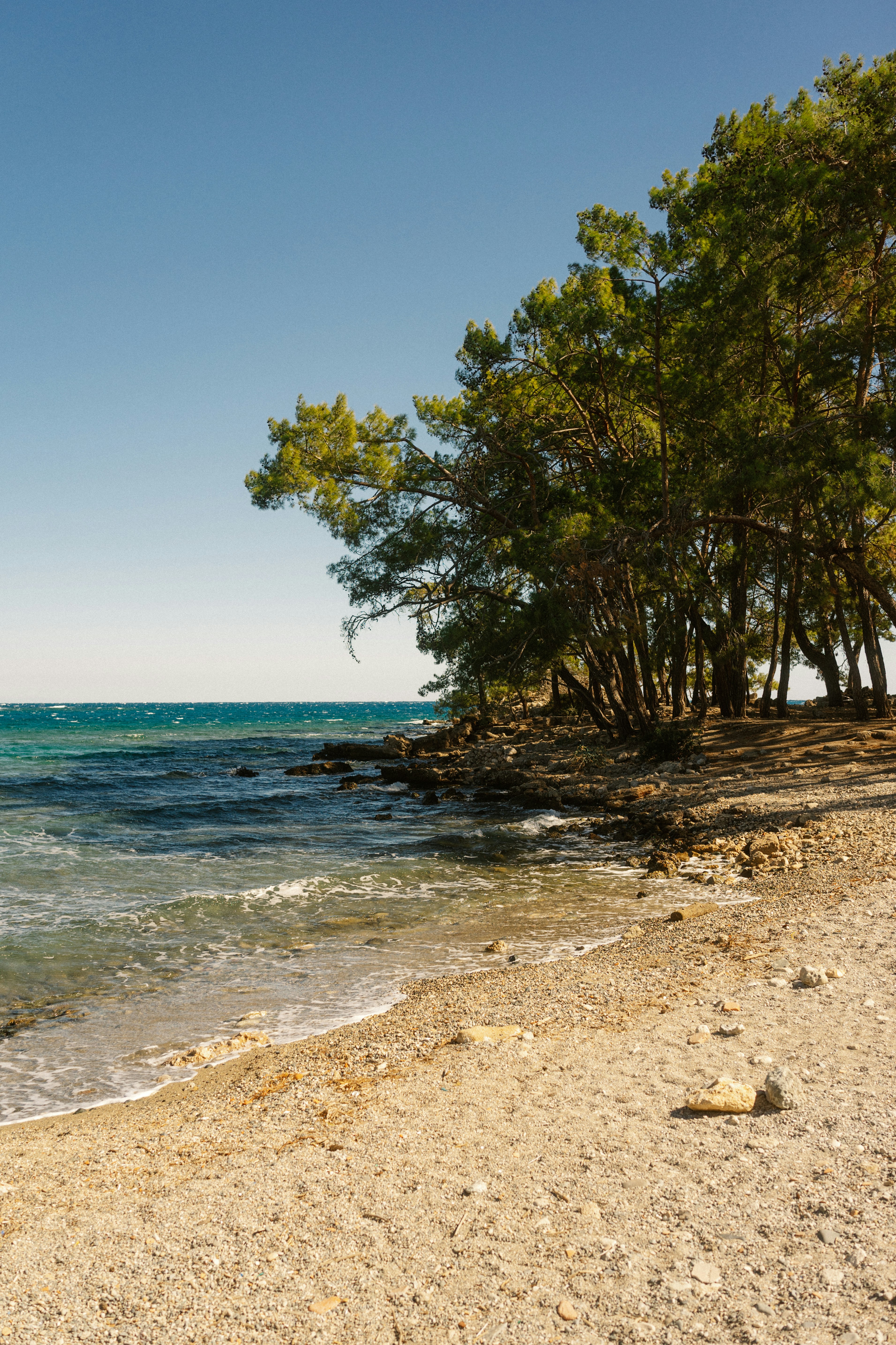 Photo by igorharrier