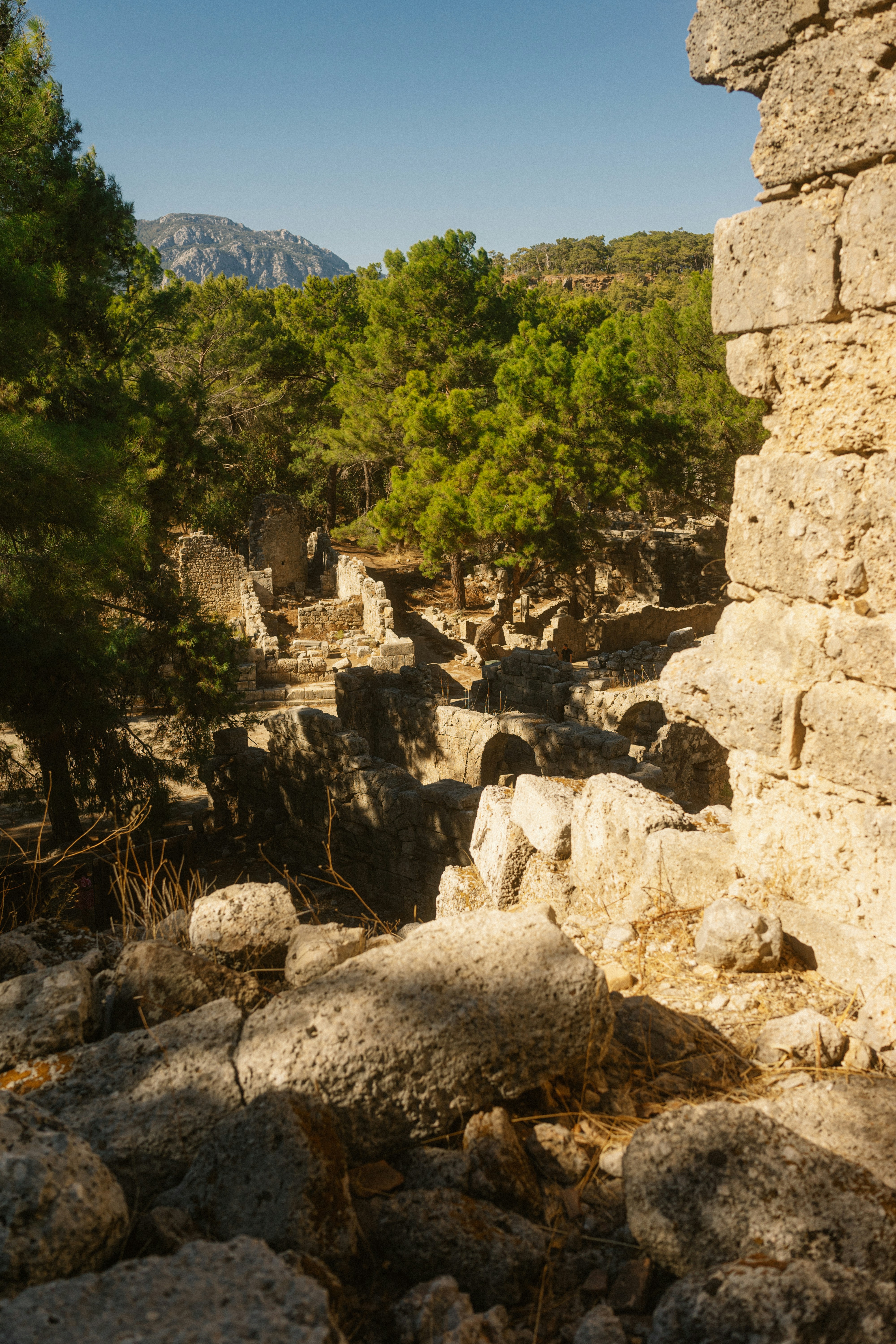 Photo by igorharrier