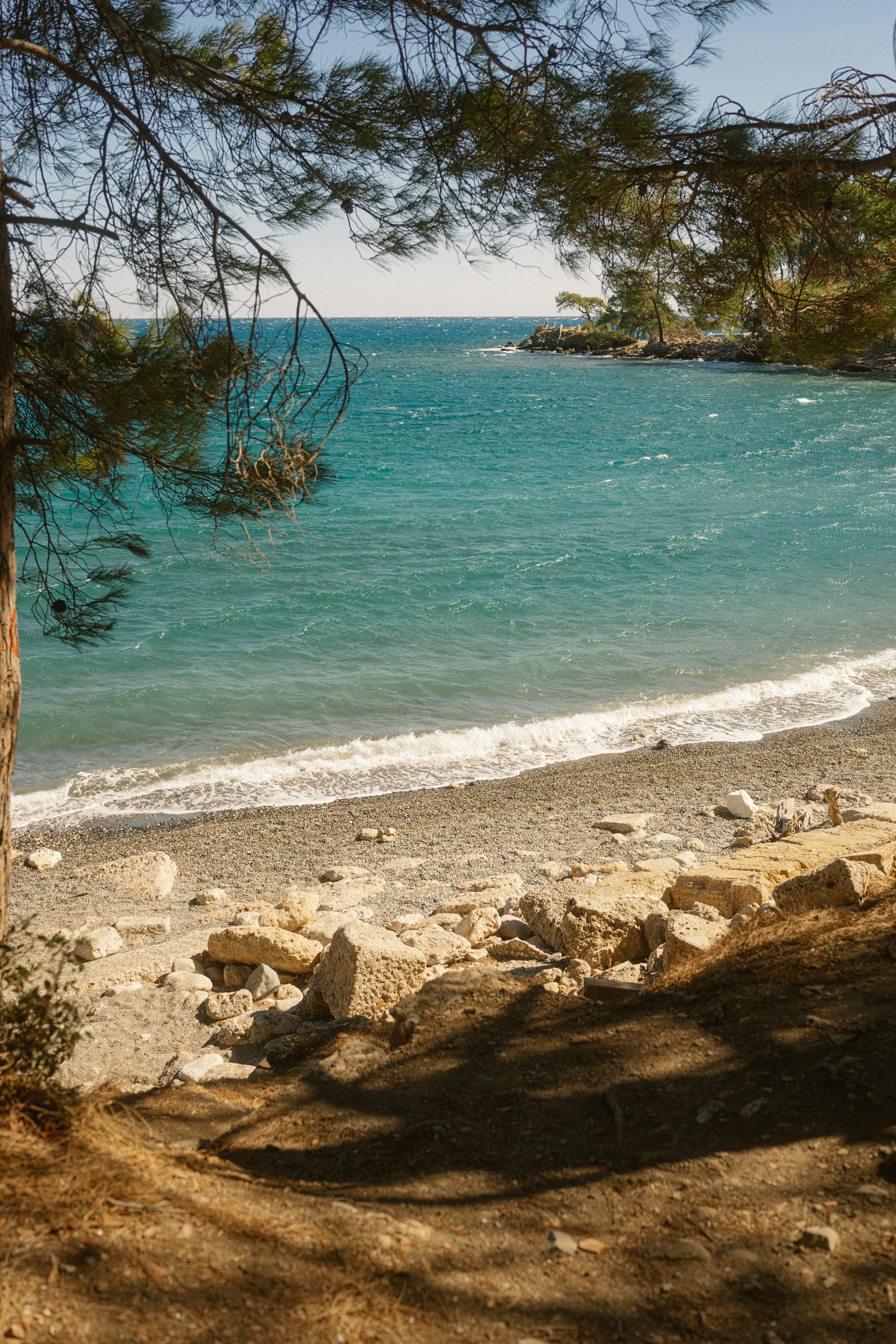 Photo by igorharrier