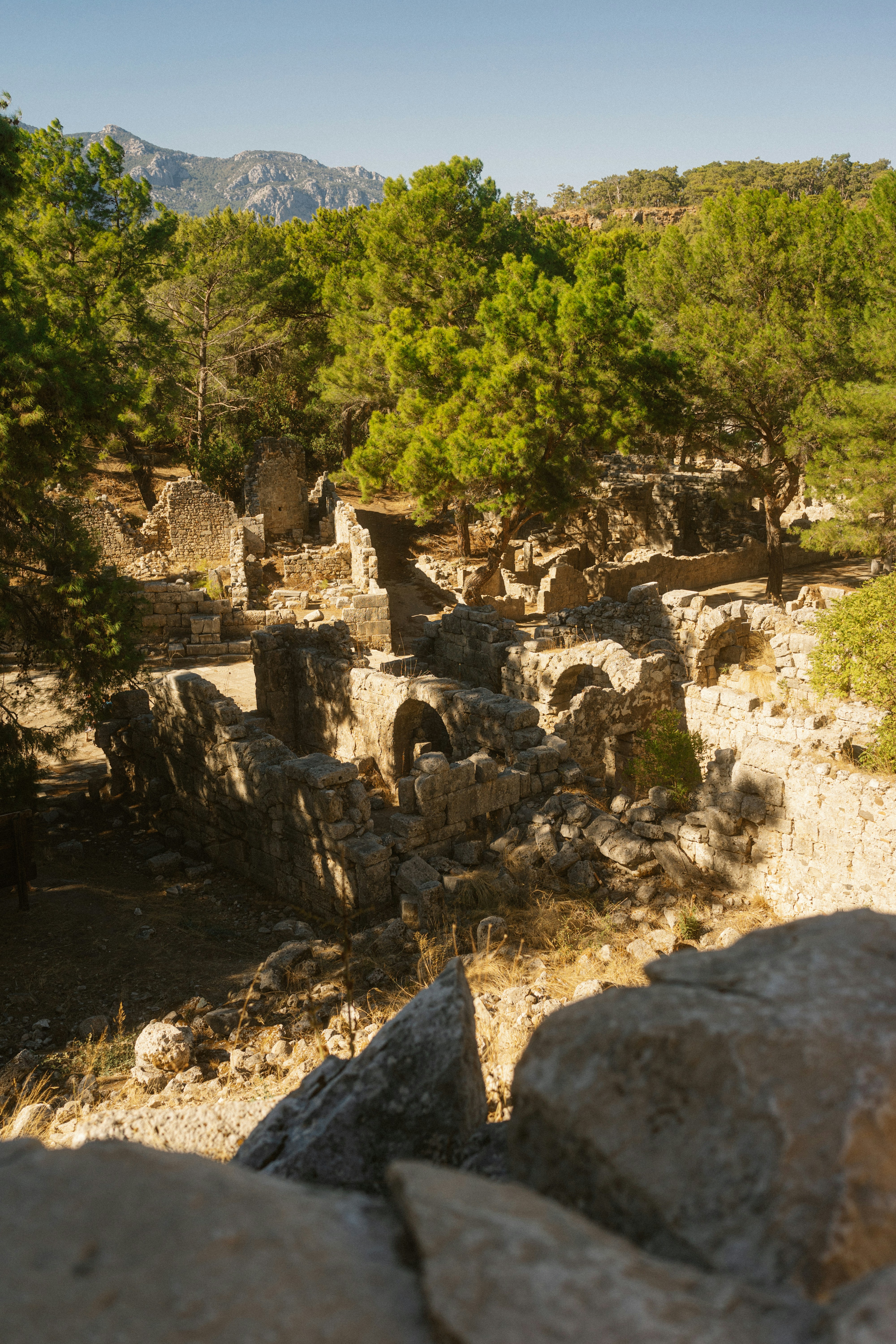 Photo by igorharrier