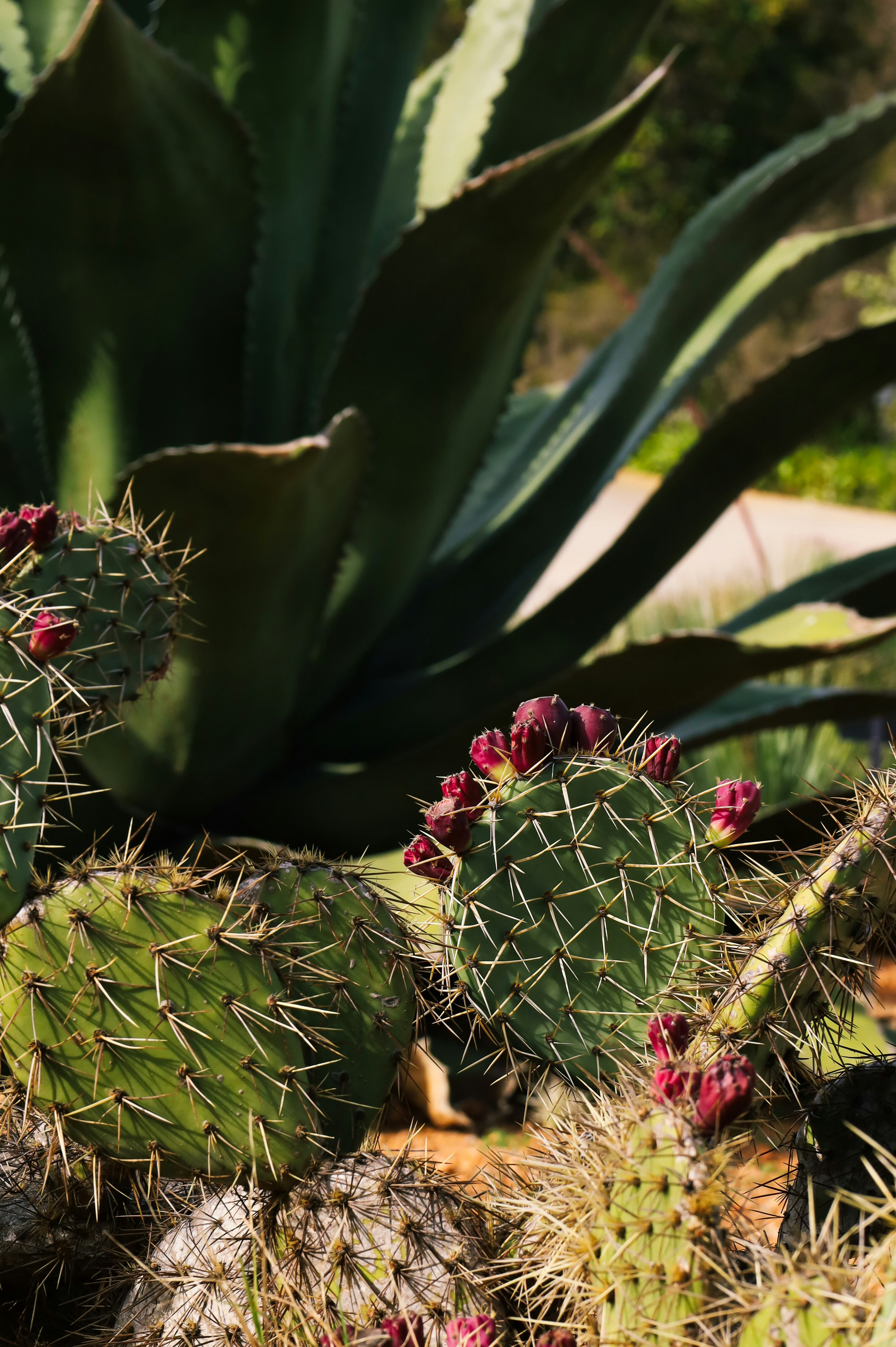 Photo by aimee_naomi