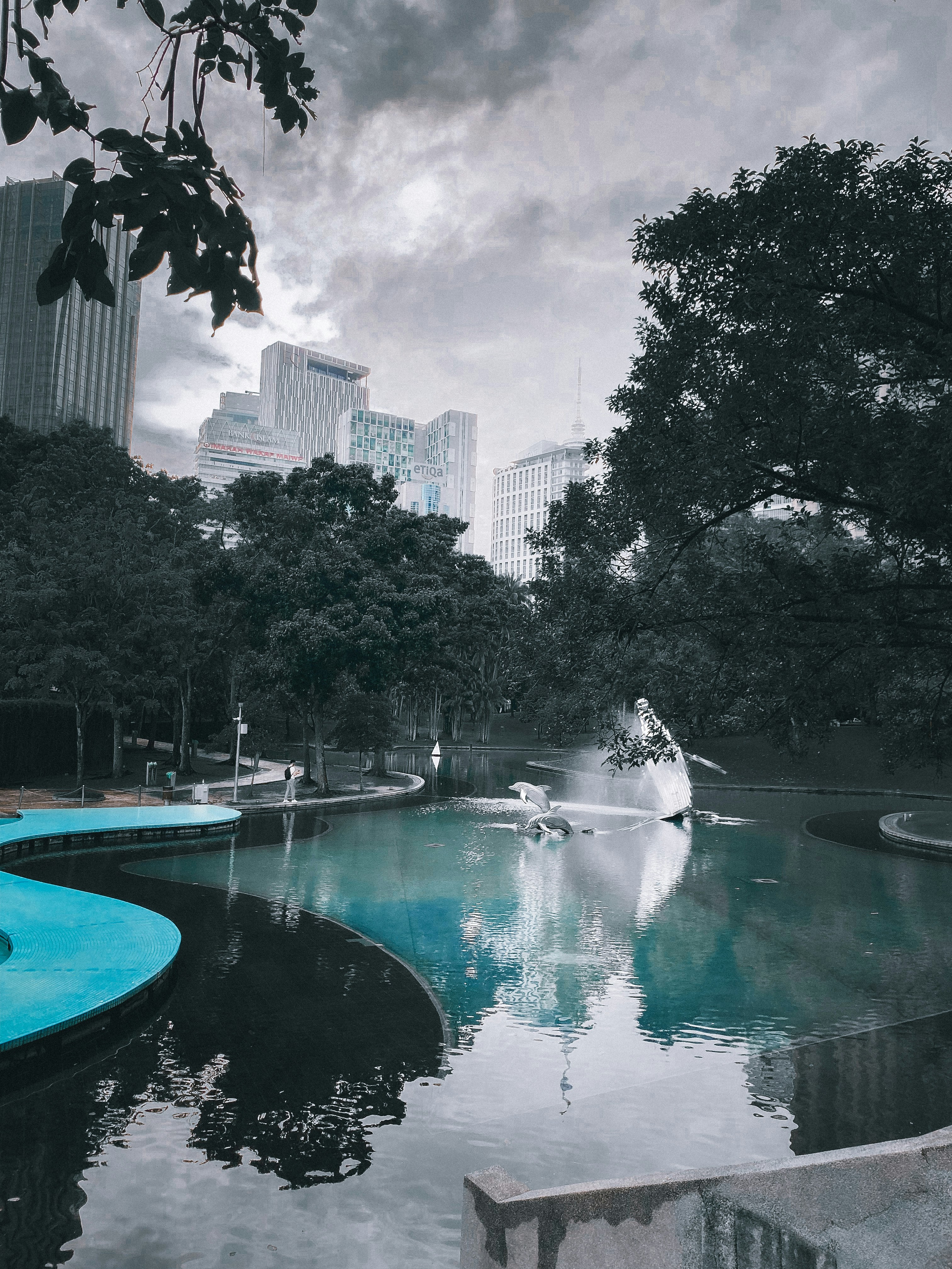A pond in a park with a statue in the middle