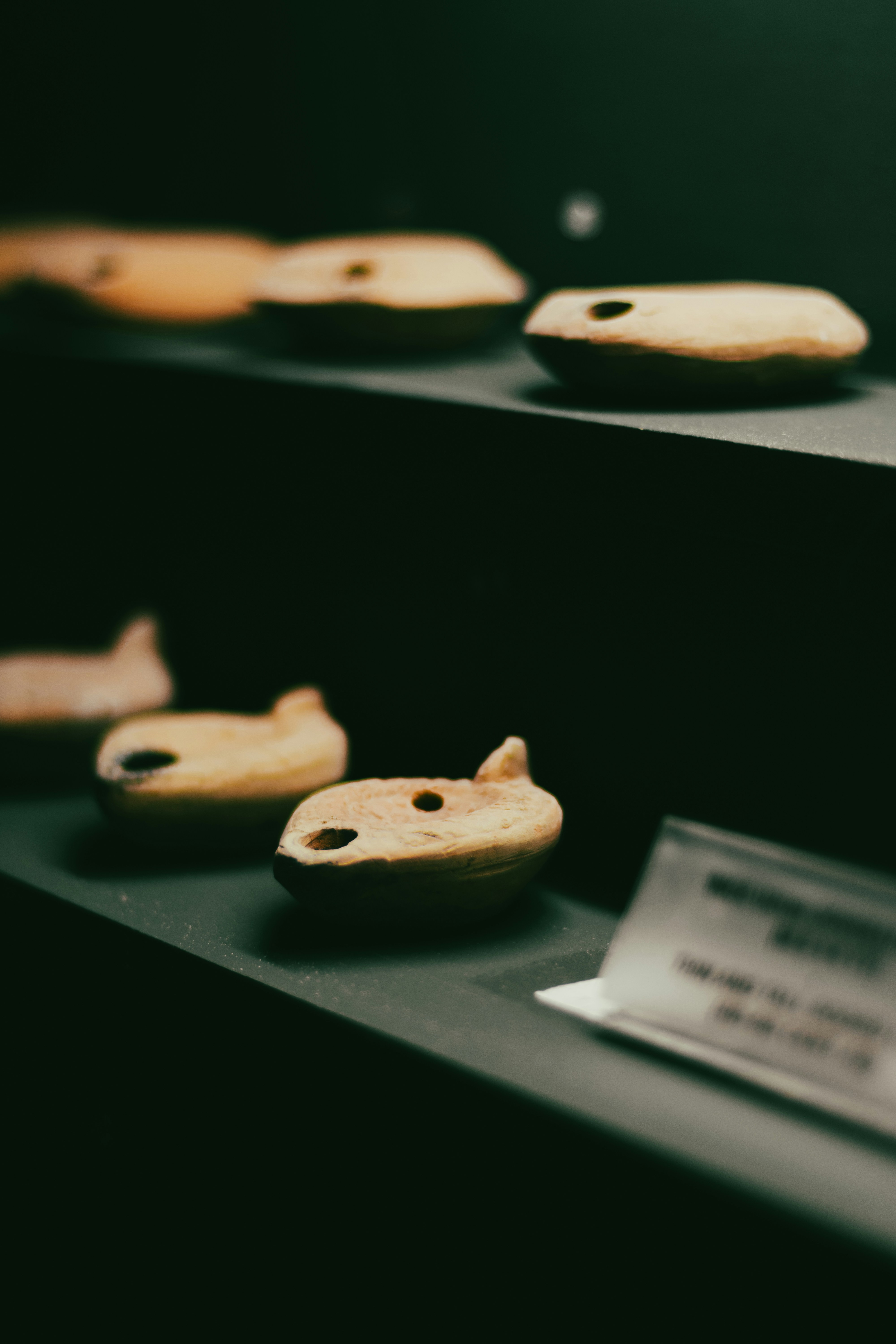 Photo by david_dintsh