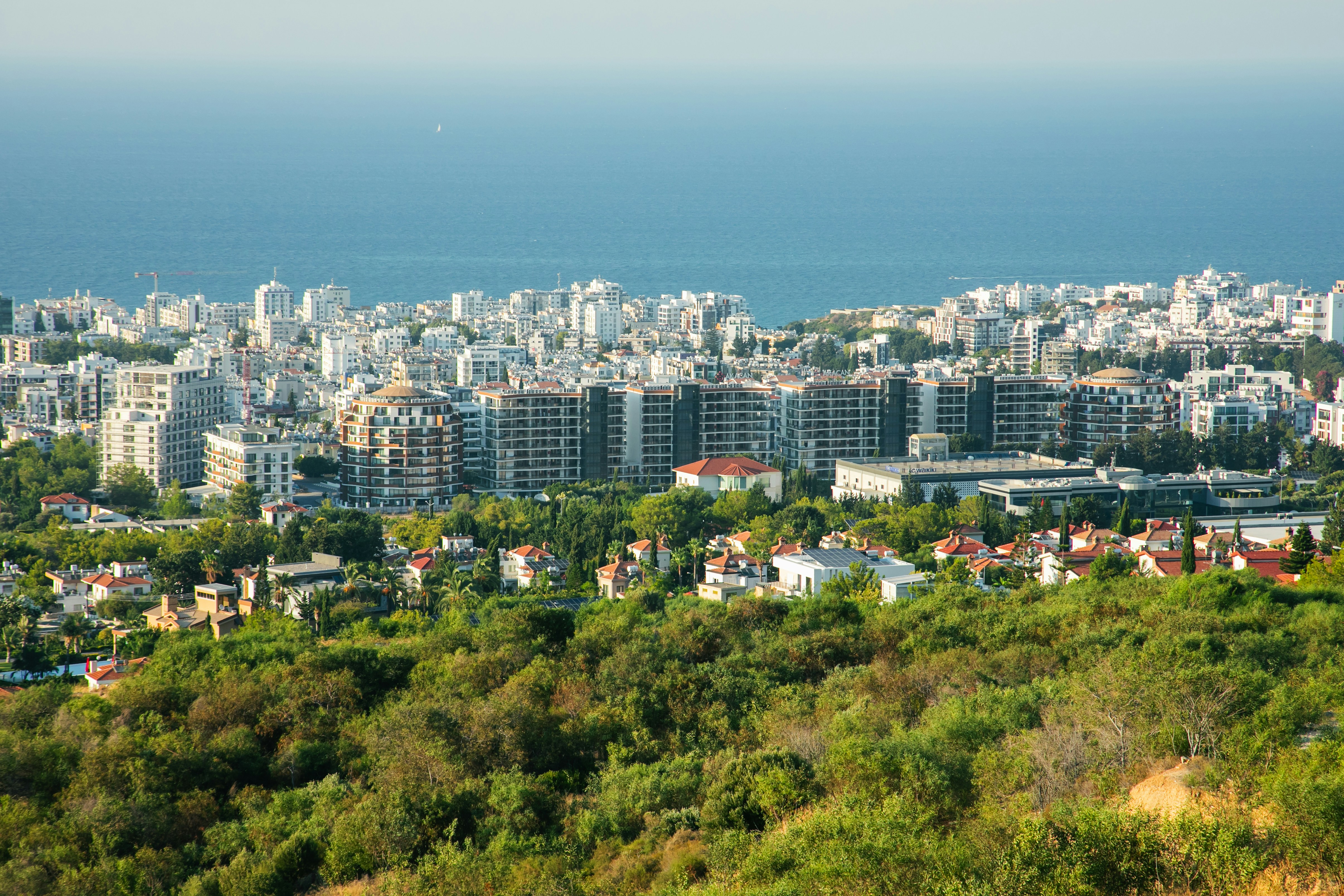 Photo by david_dintsh