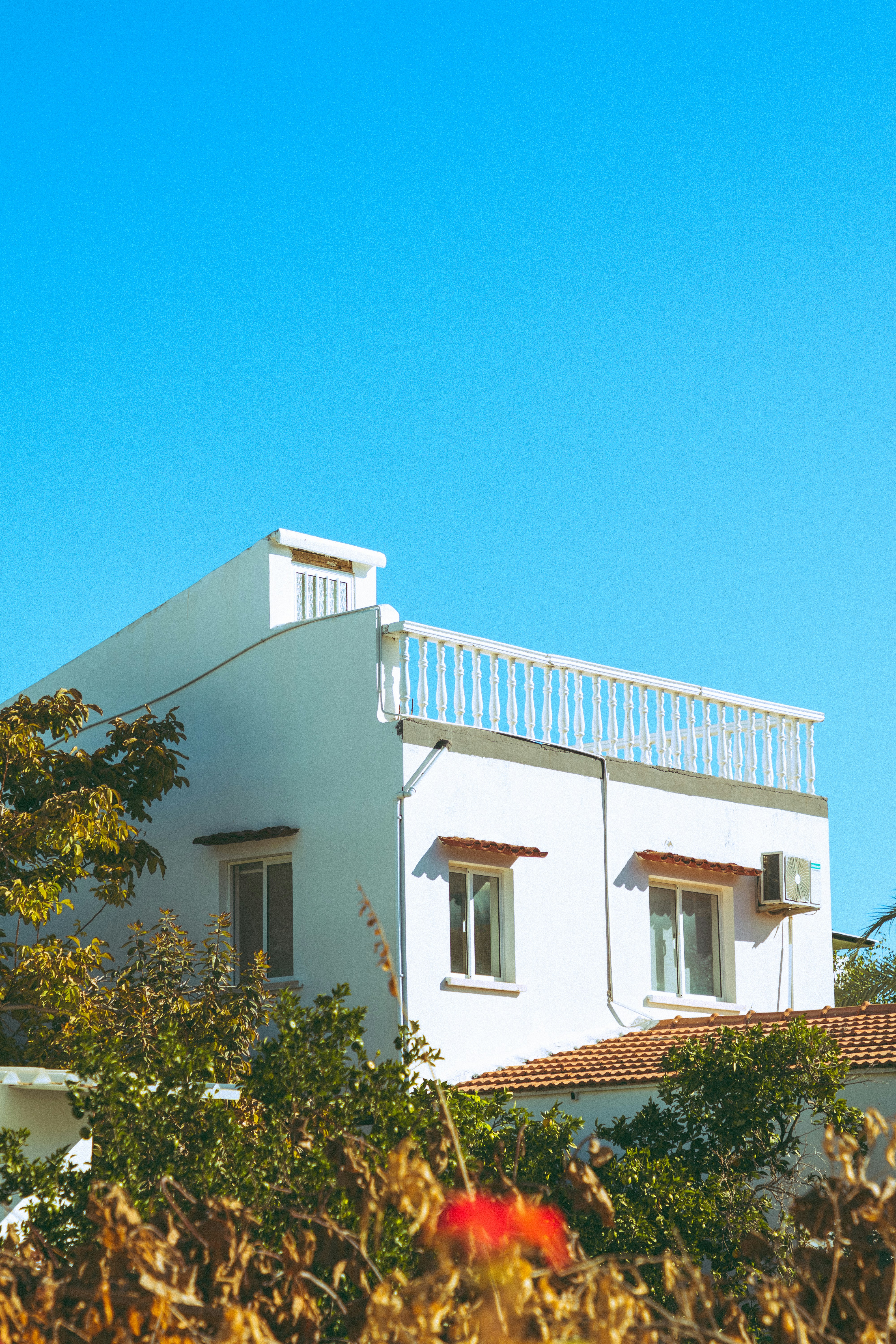 Photo by david_dintsh