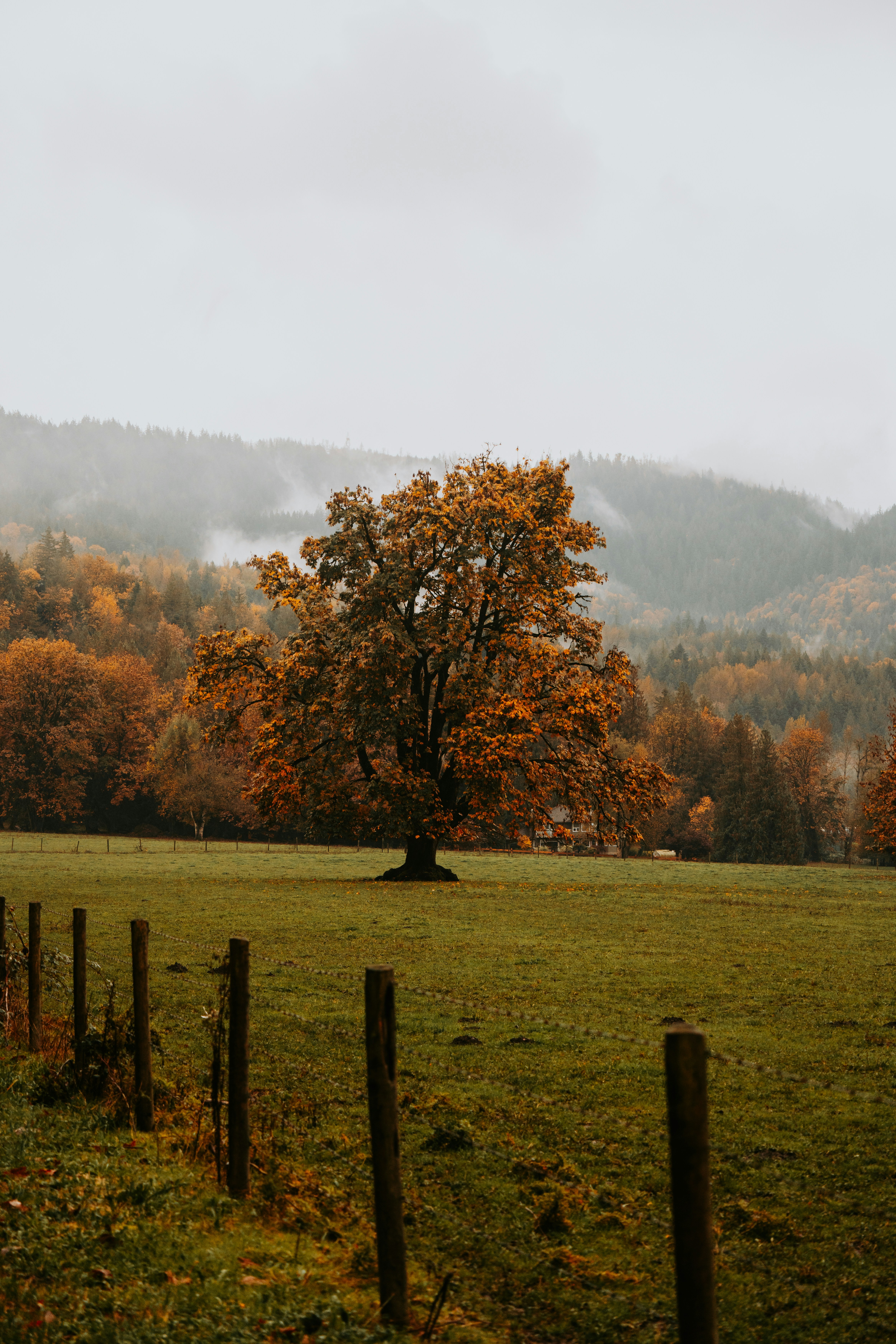 Photo by bylukemiller