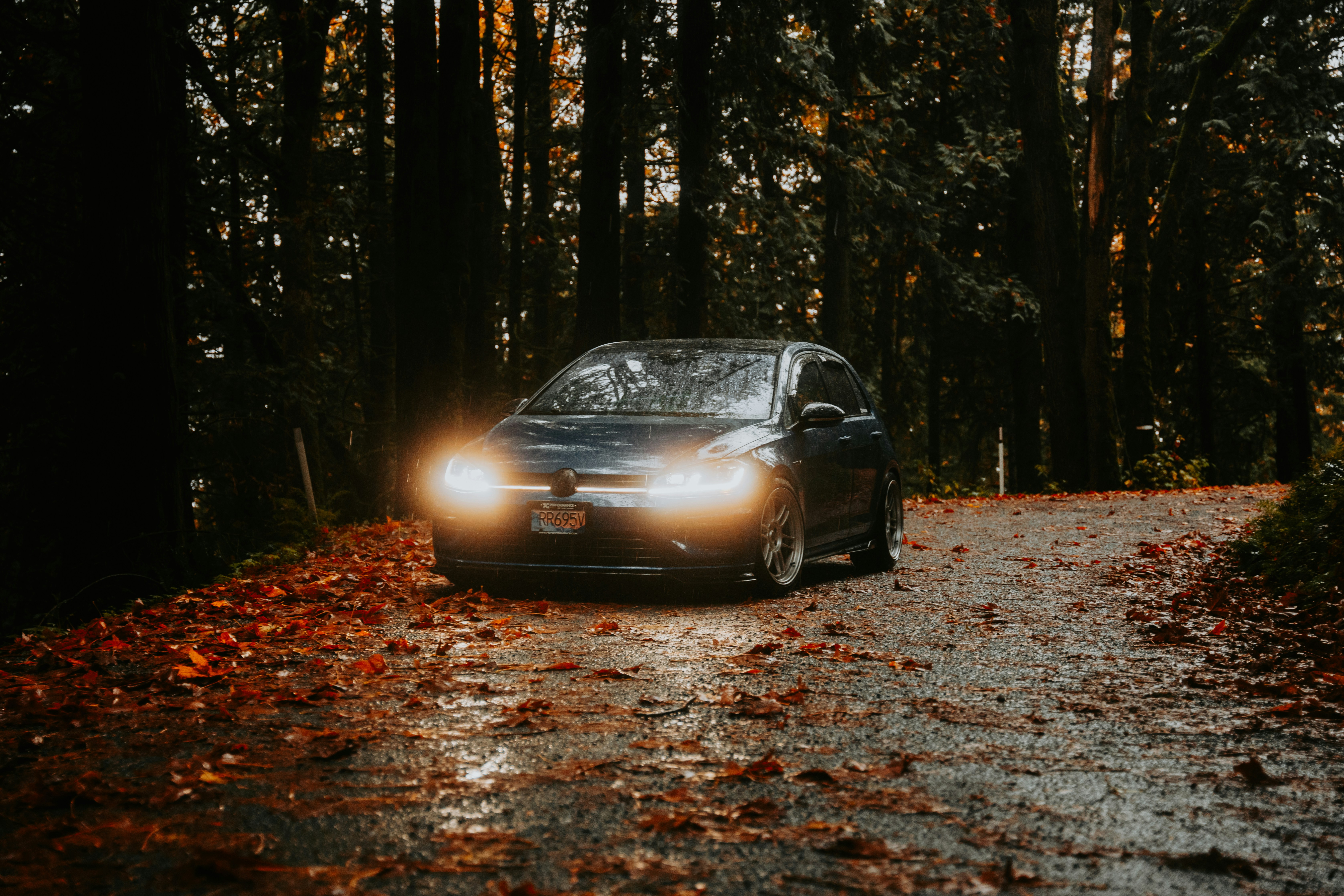 Photo by bylukemiller