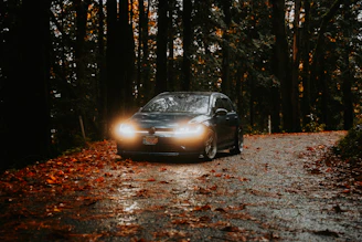 A car driving down a road surrounded by trees