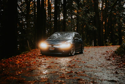 A car driving down a road surrounded by trees