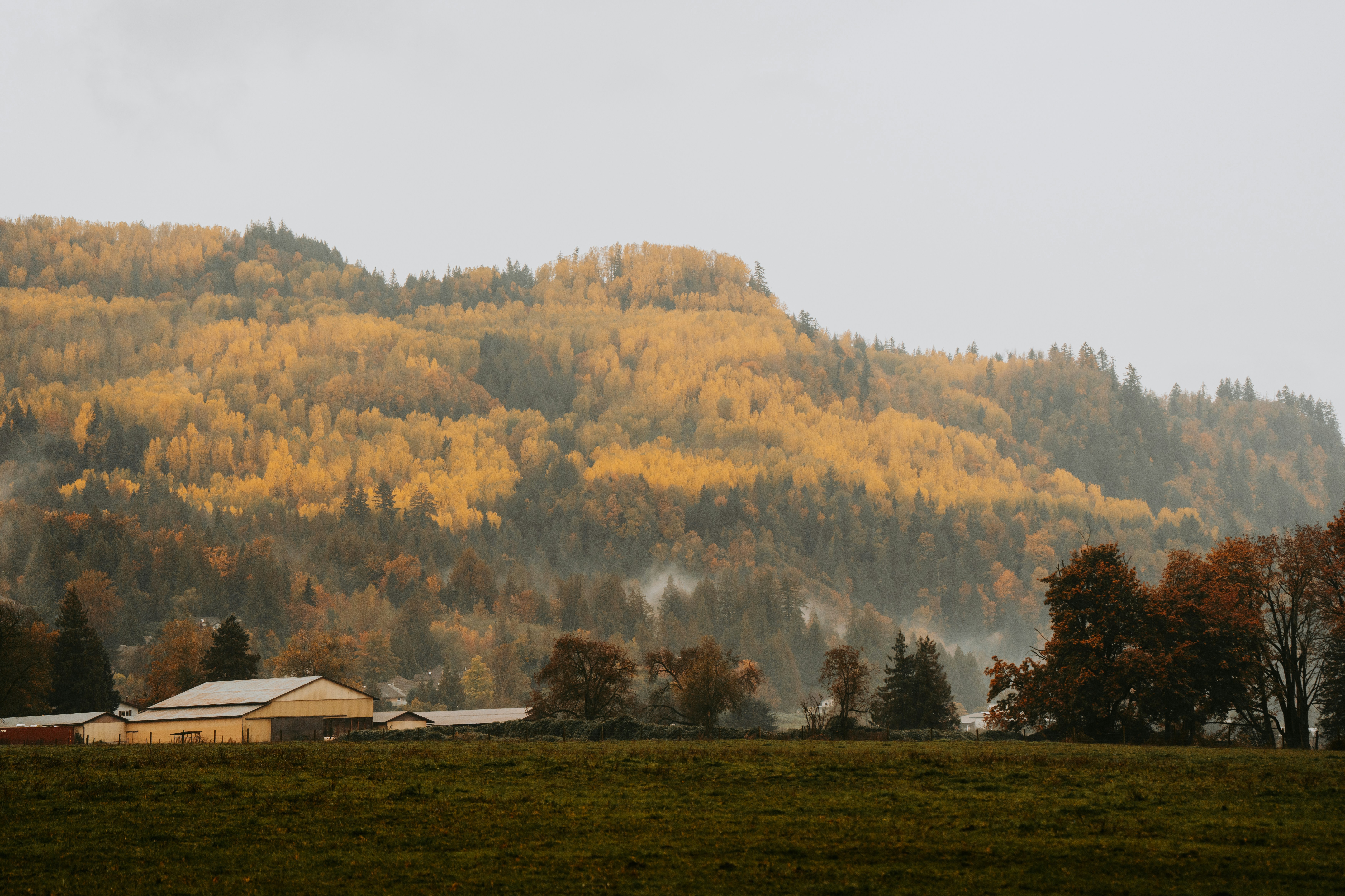 Photo by bylukemiller