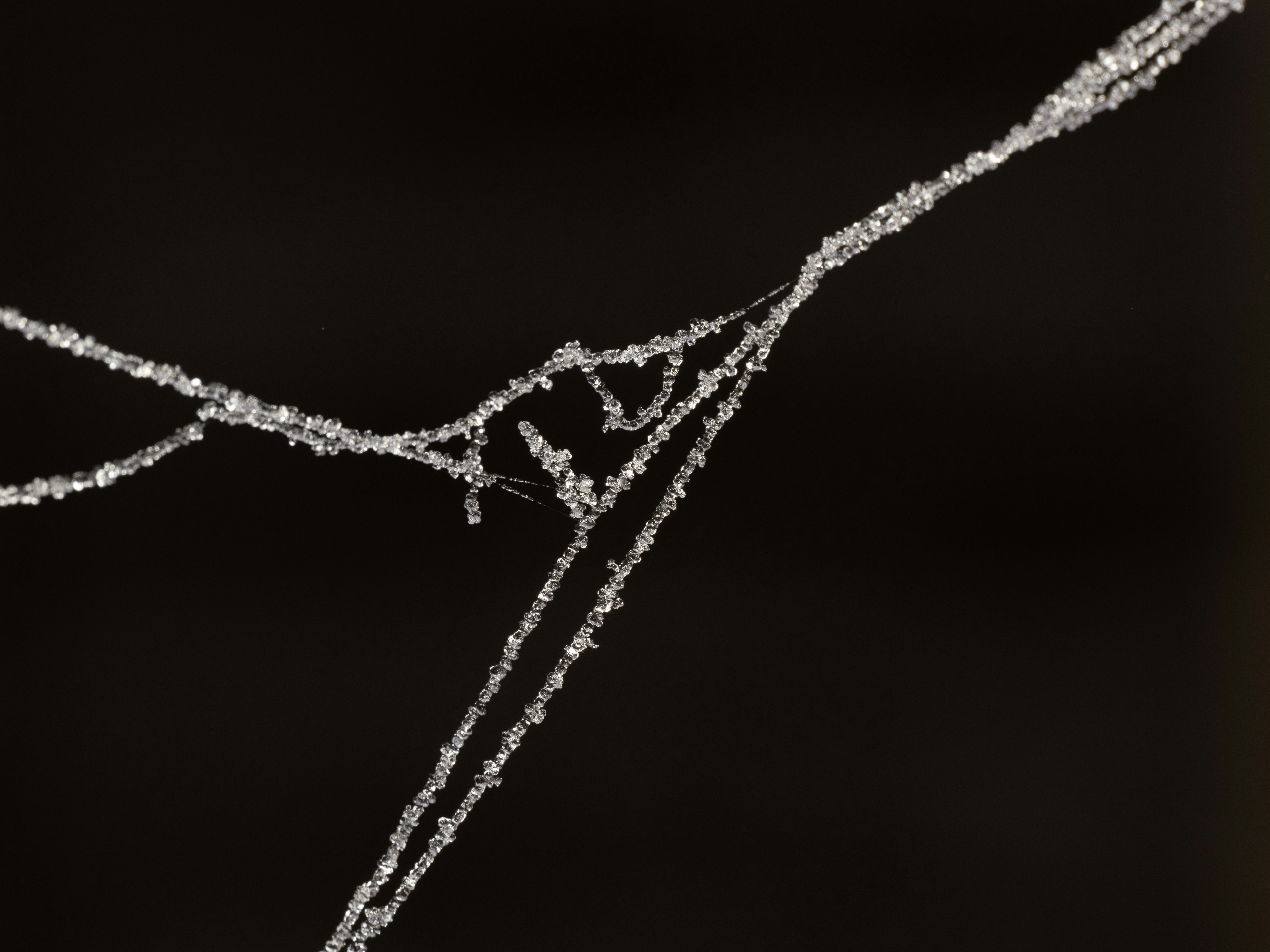 Photo by abushihabmarey