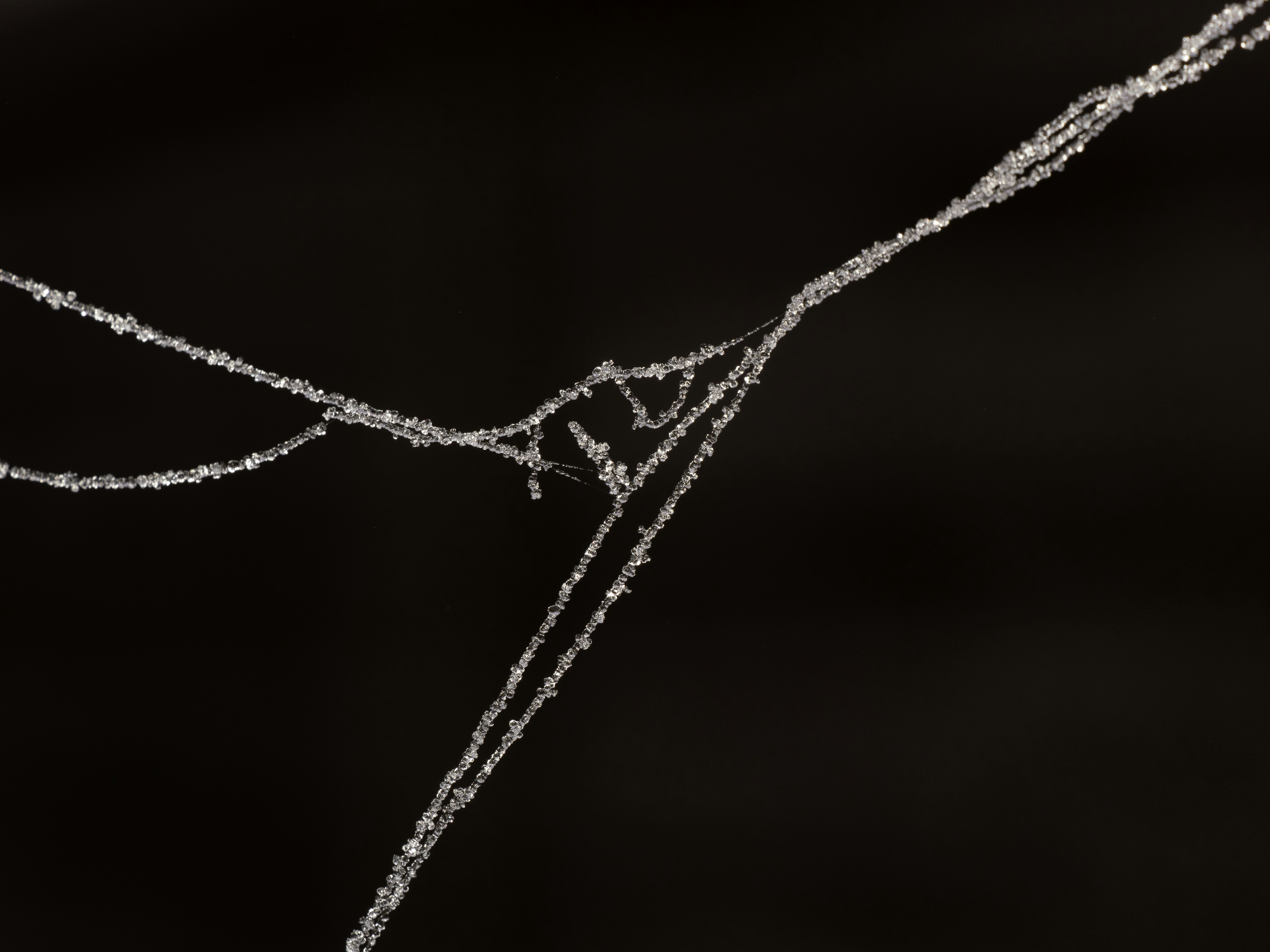 Photo by abushihabmarey