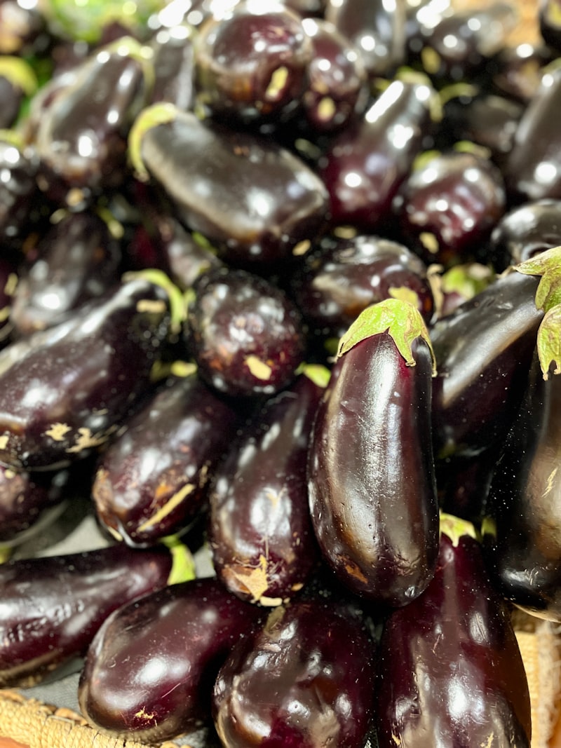 Brinjal (Eggplant)
