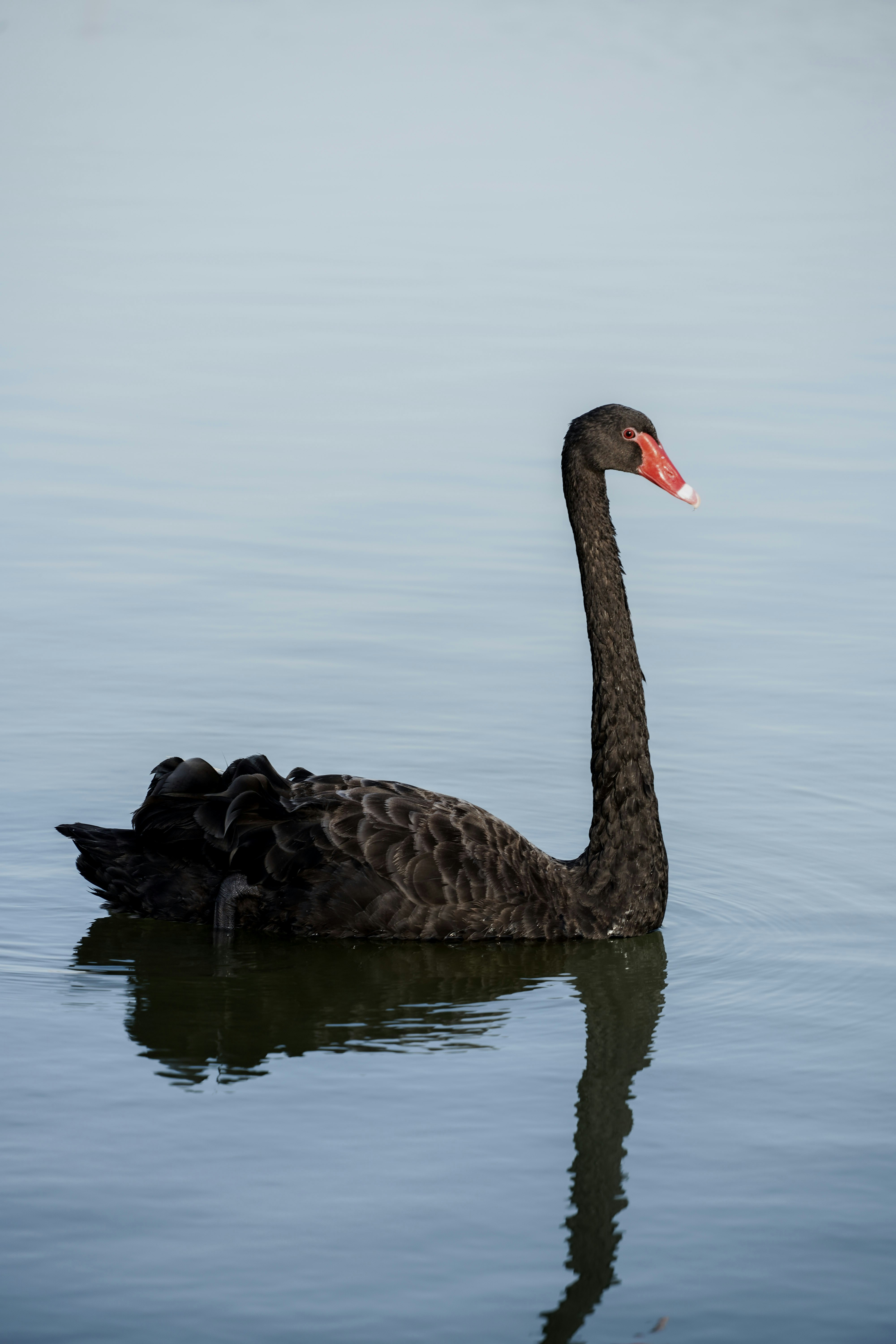 Photo by advantageous_digital