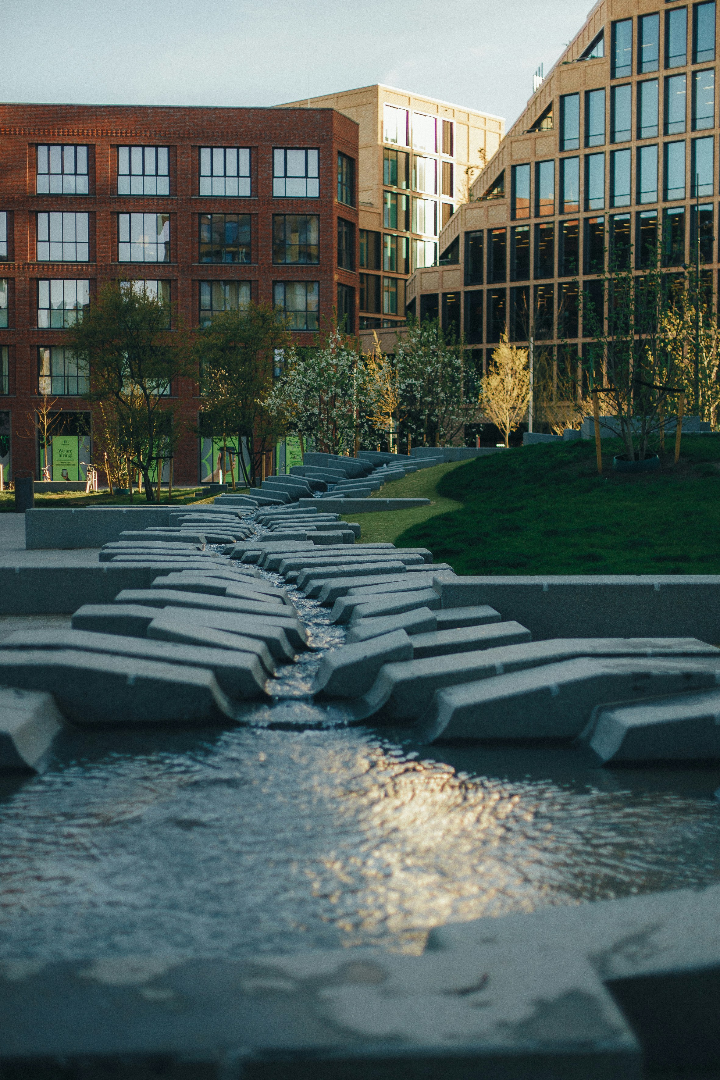 modern landscape design