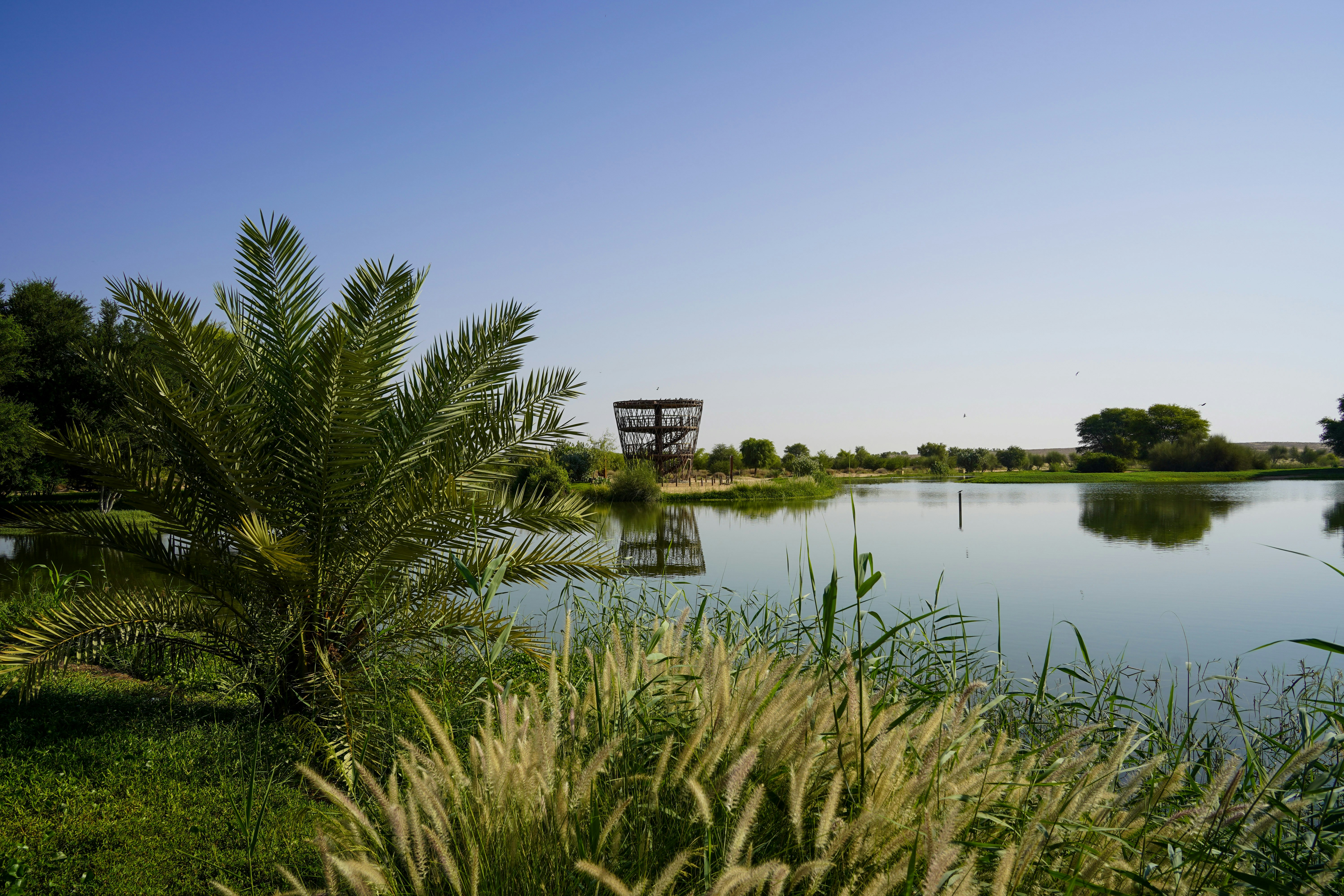 Photo by advantageous_digital