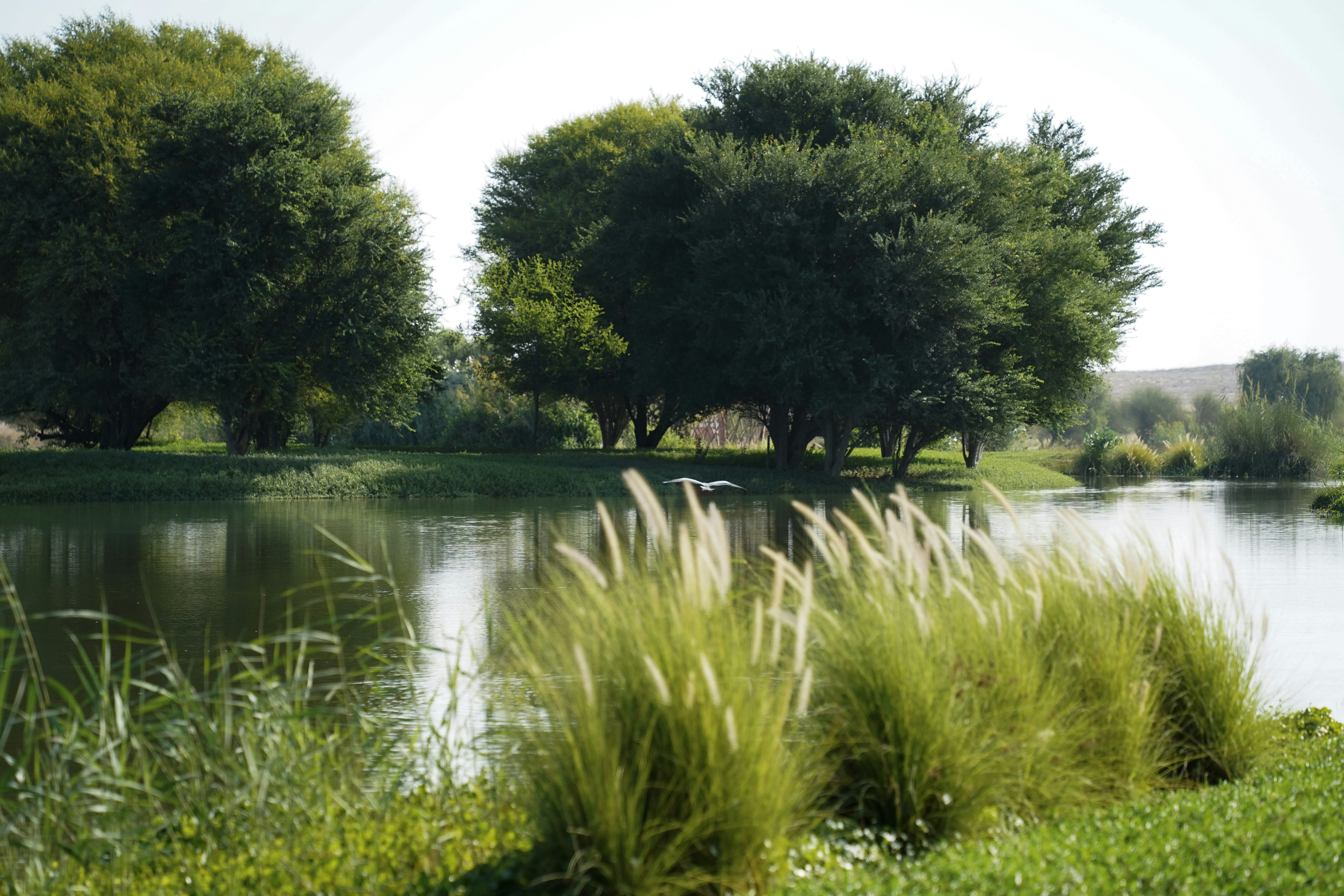 Photo by advantageous_digital