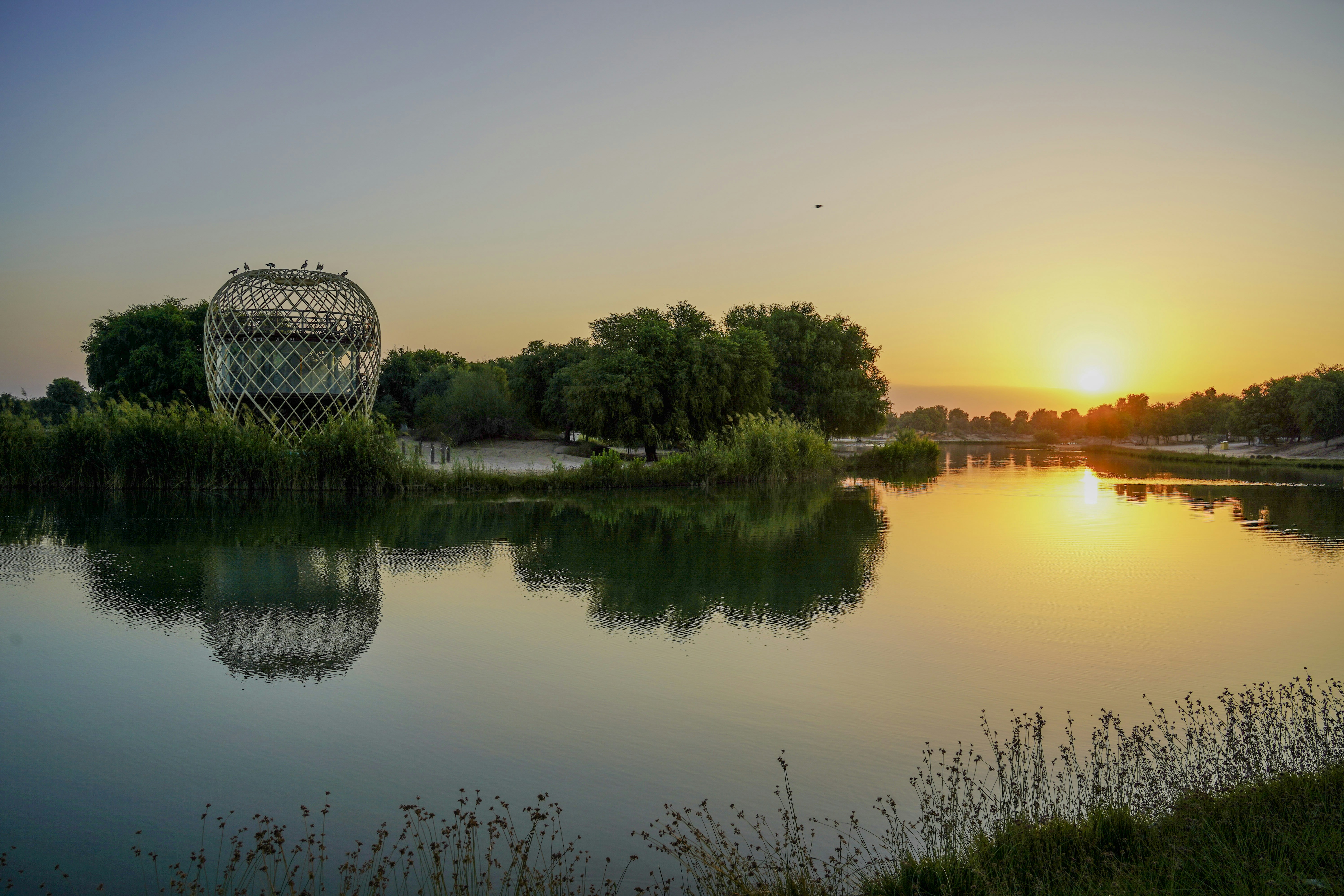 Photo by advantageous_digital