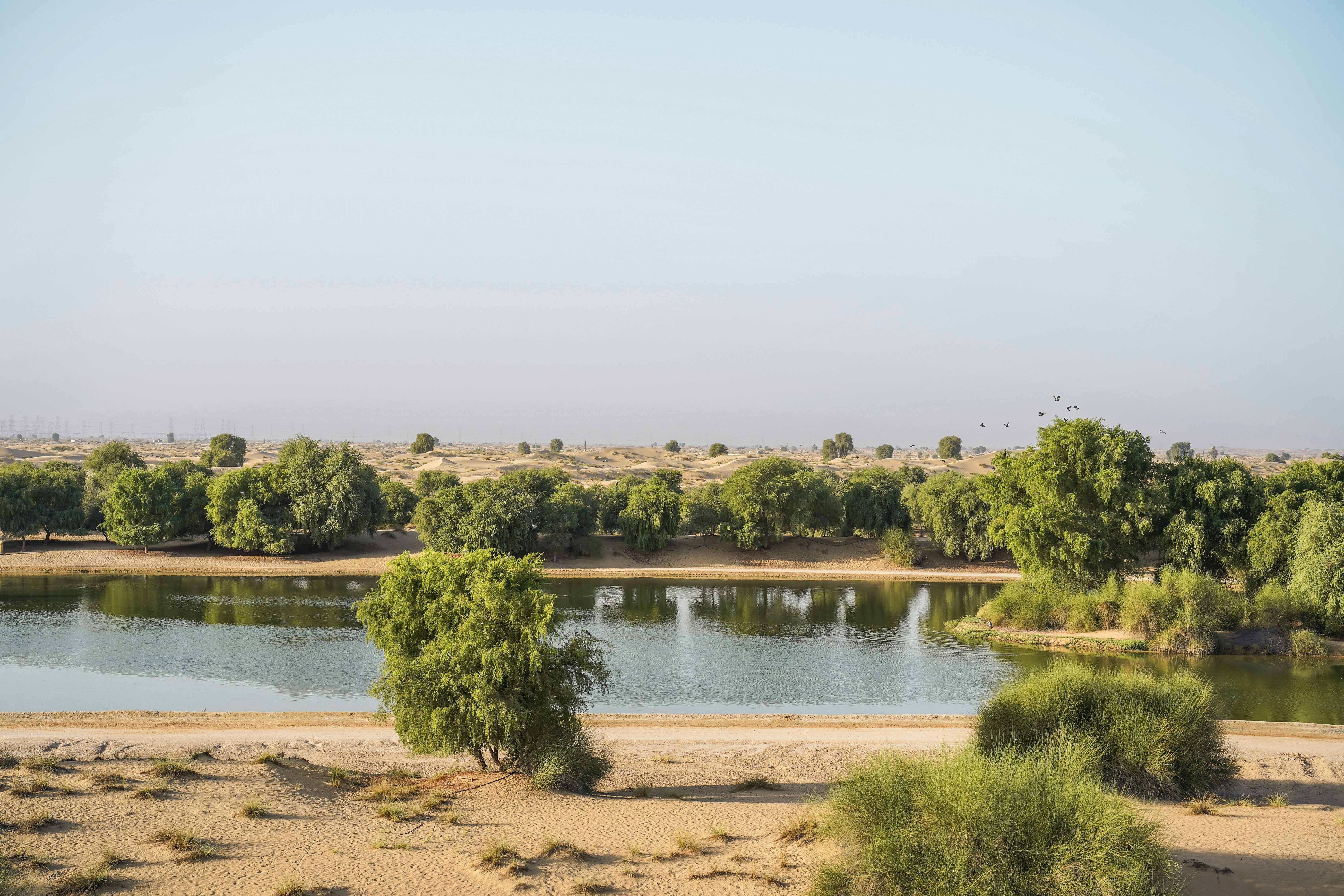 Photo by advantageous_digital