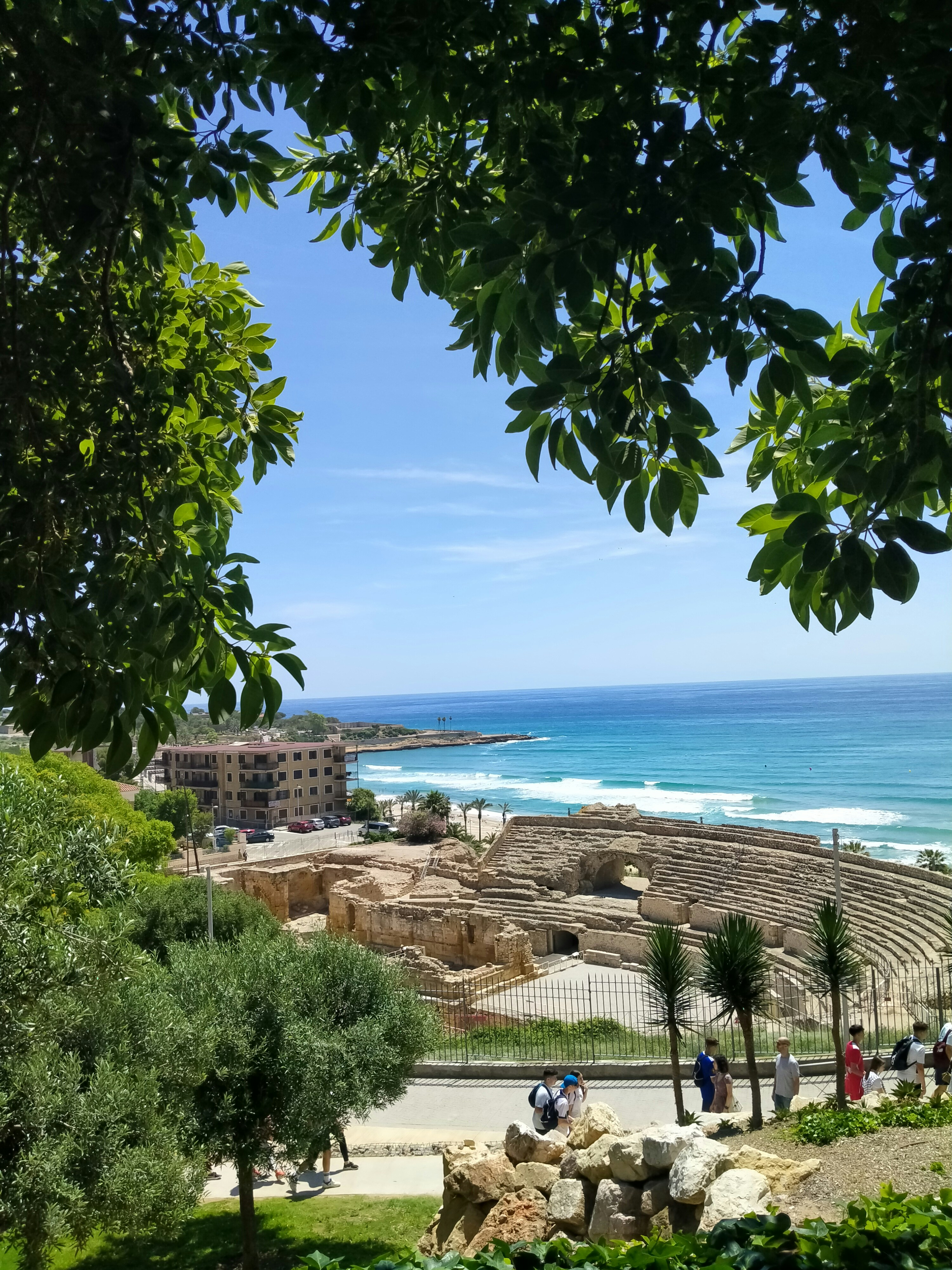 A view of a beach from a hill