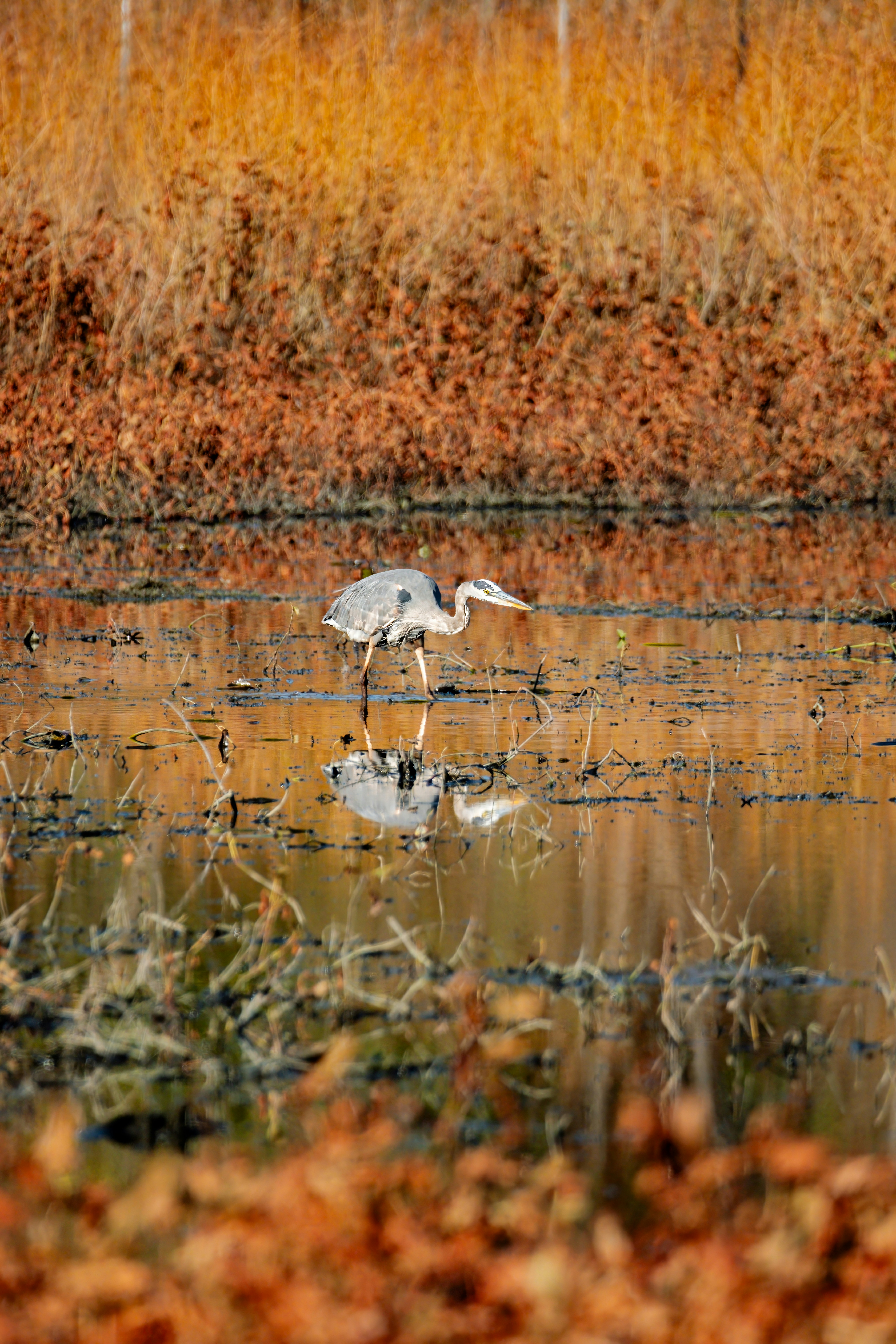 Photo by alexandredaoust