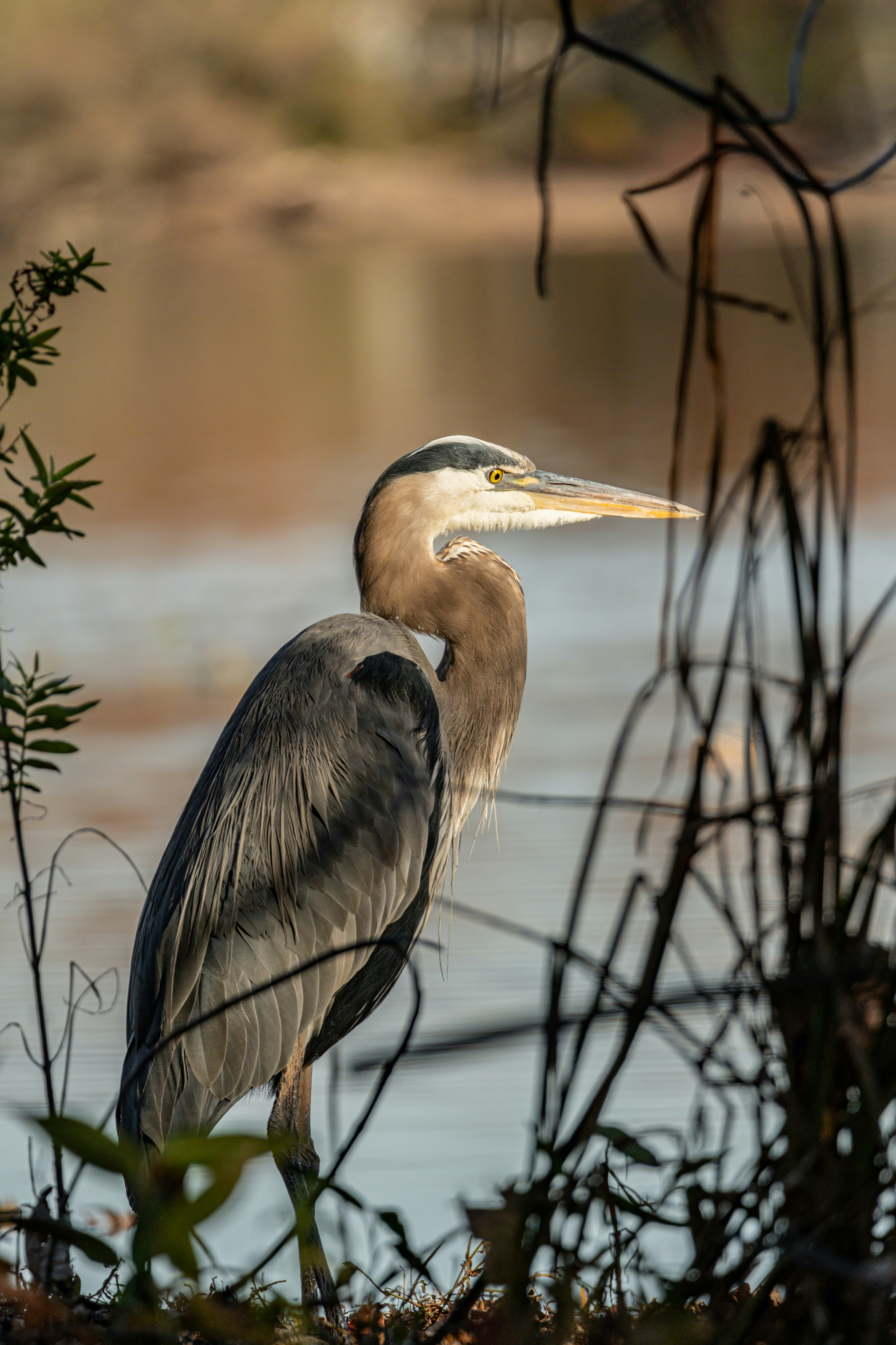 Photo by alexandredaoust