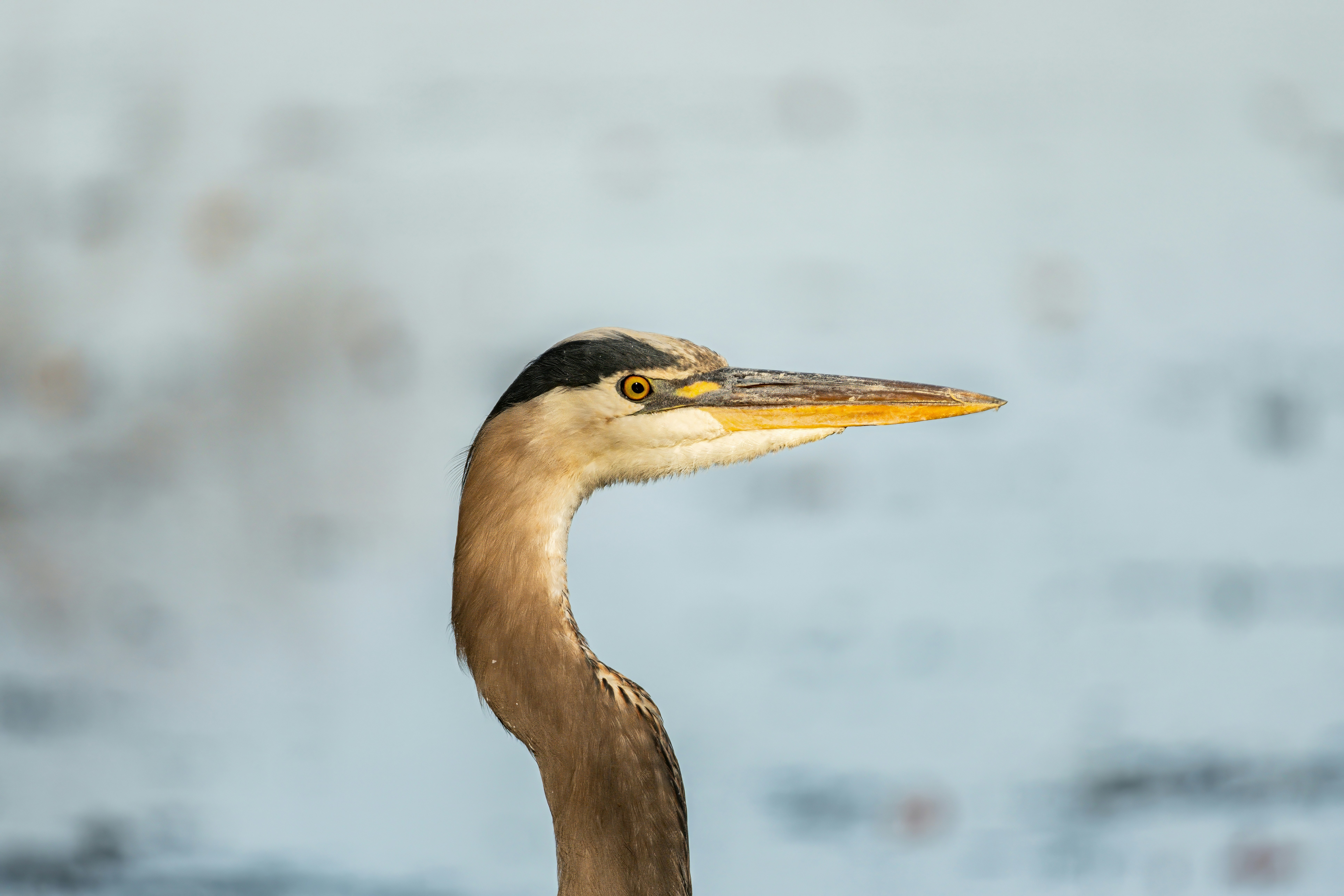 Photo by alexandredaoust