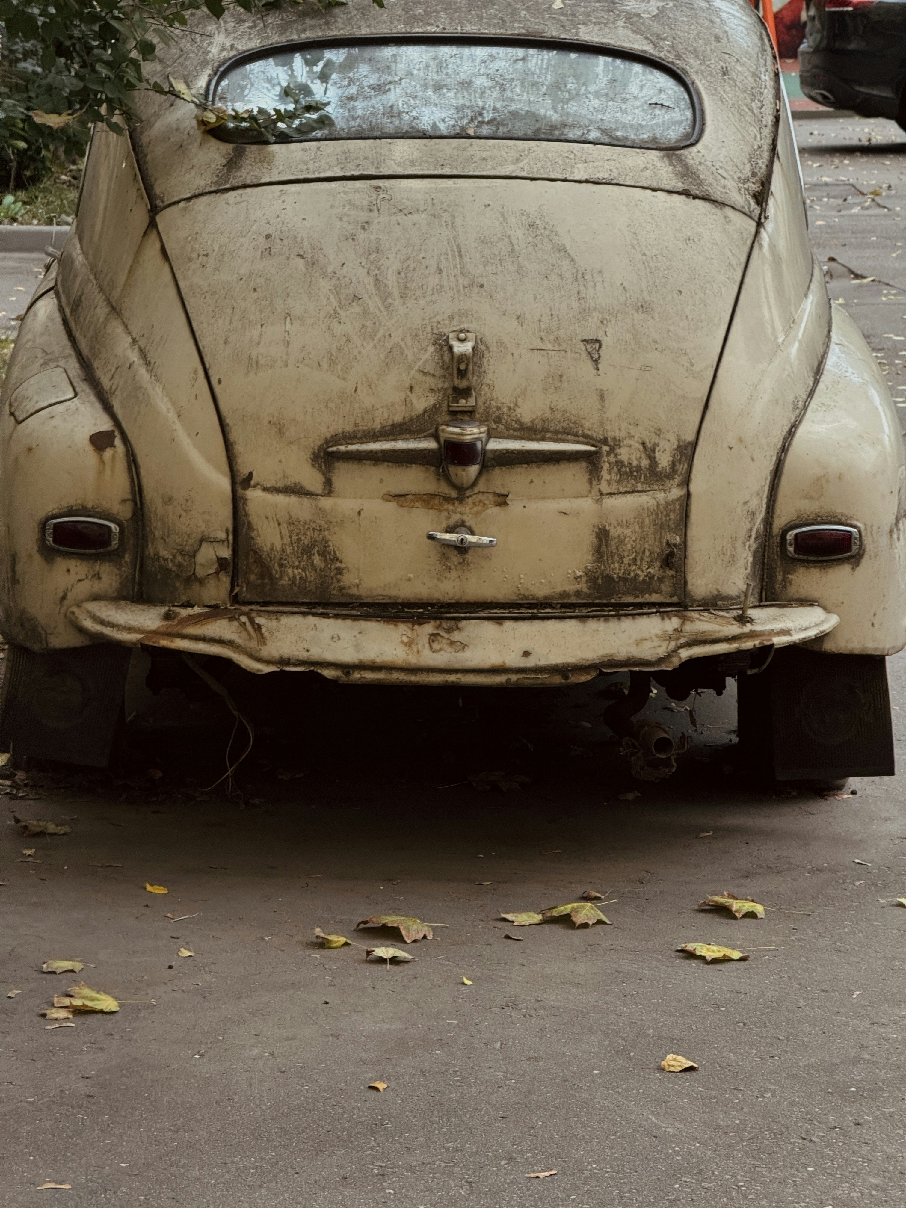 Photo by vikadavidart