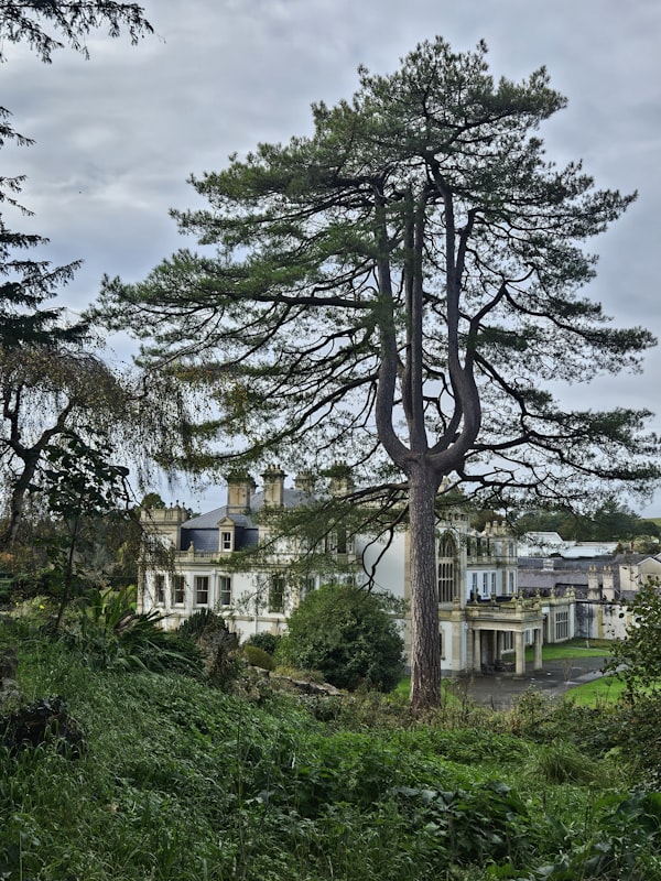 Cardiff Victorian estate house in wooded grounds