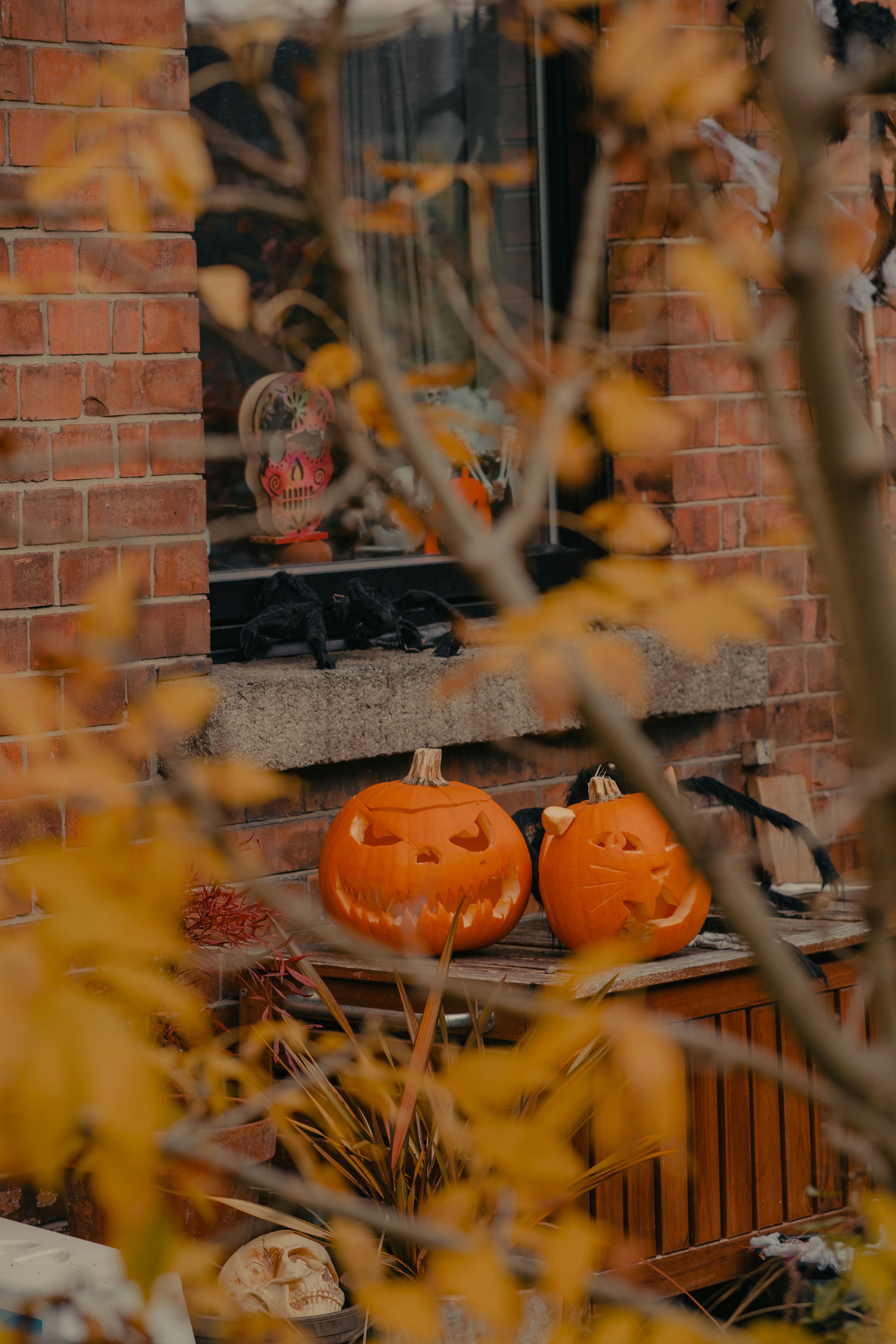 A couple of pumpkins sitting on top of a table