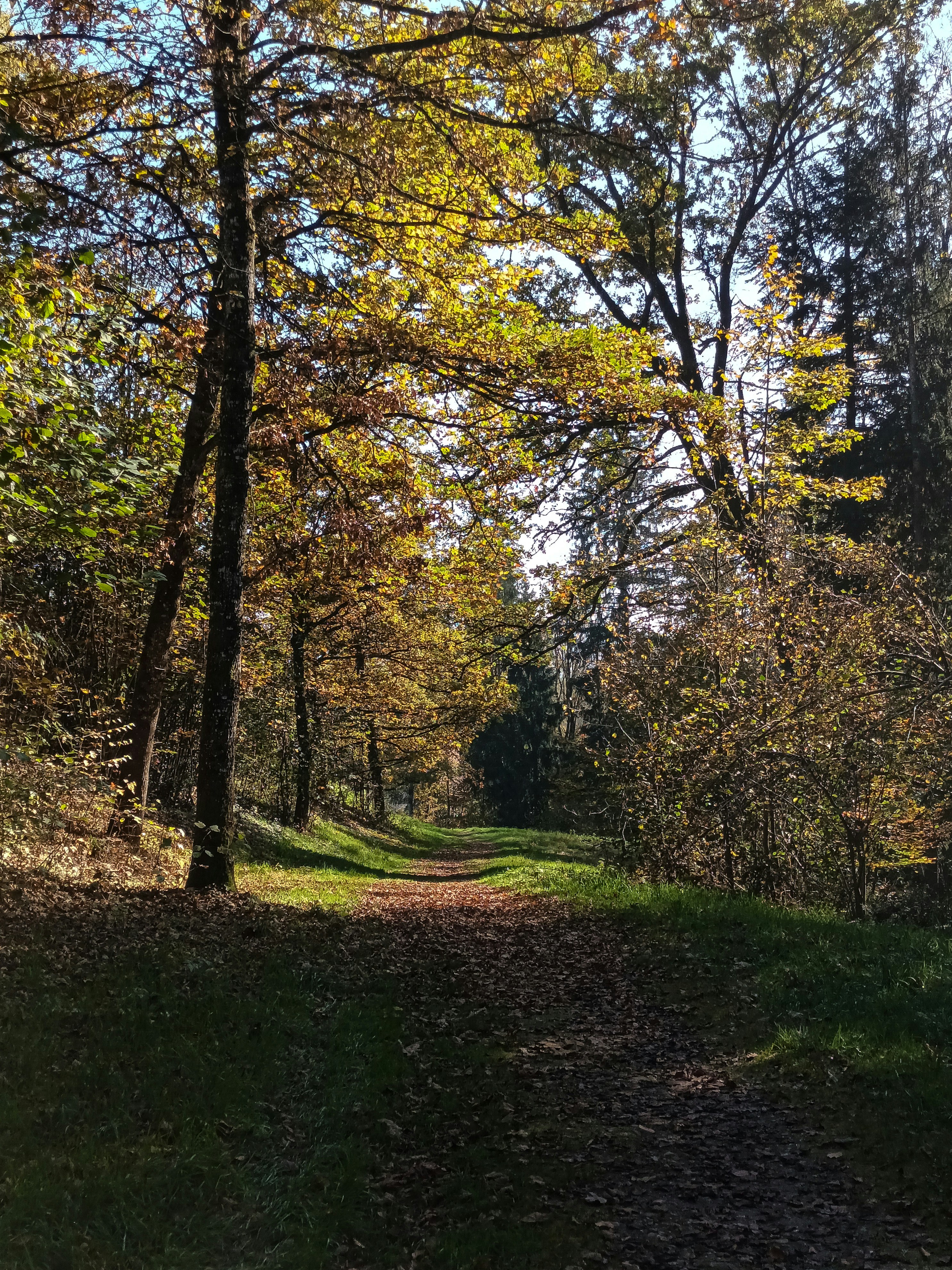 Photo by barbara_light