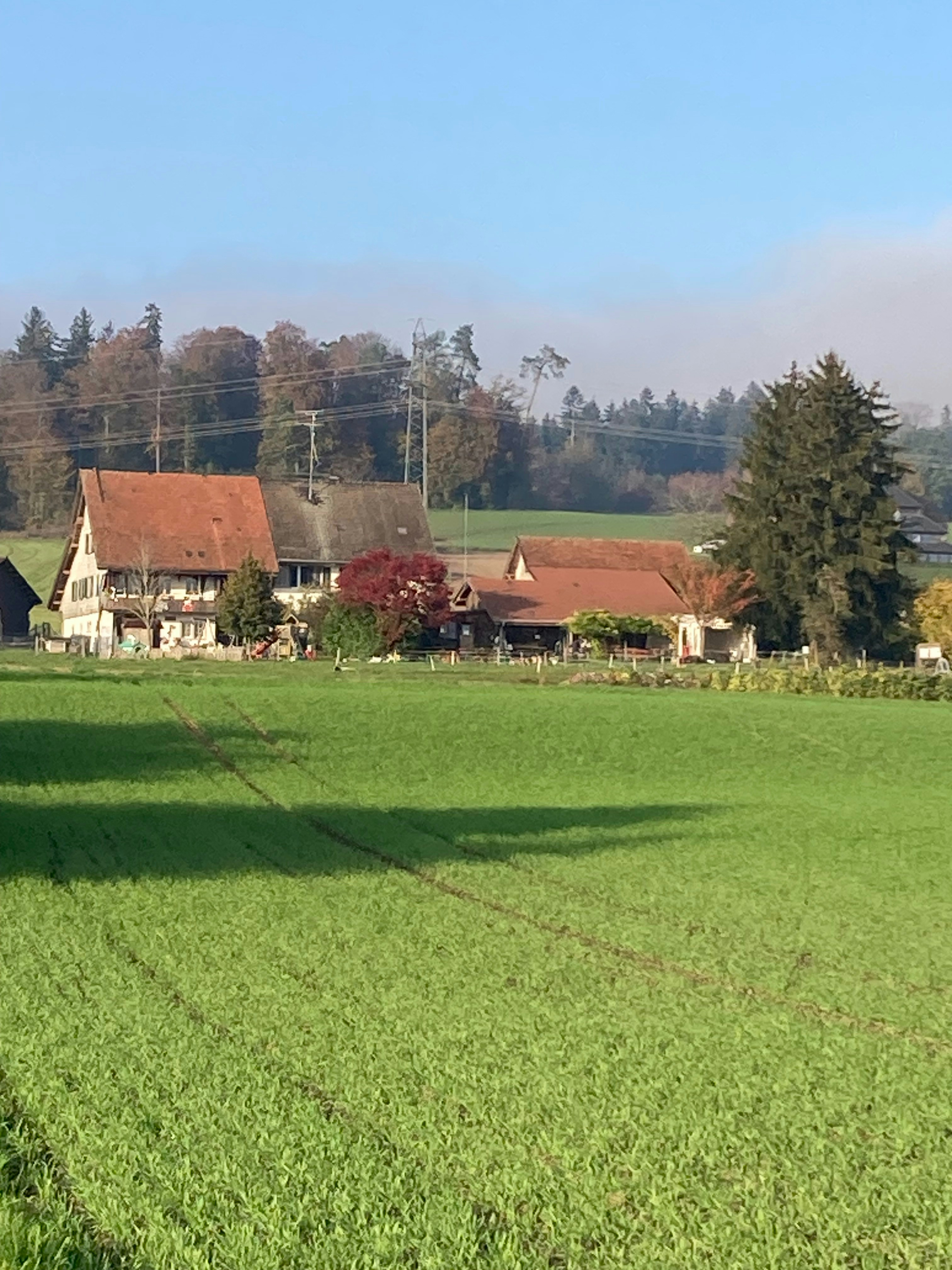 A large field with houses in the background