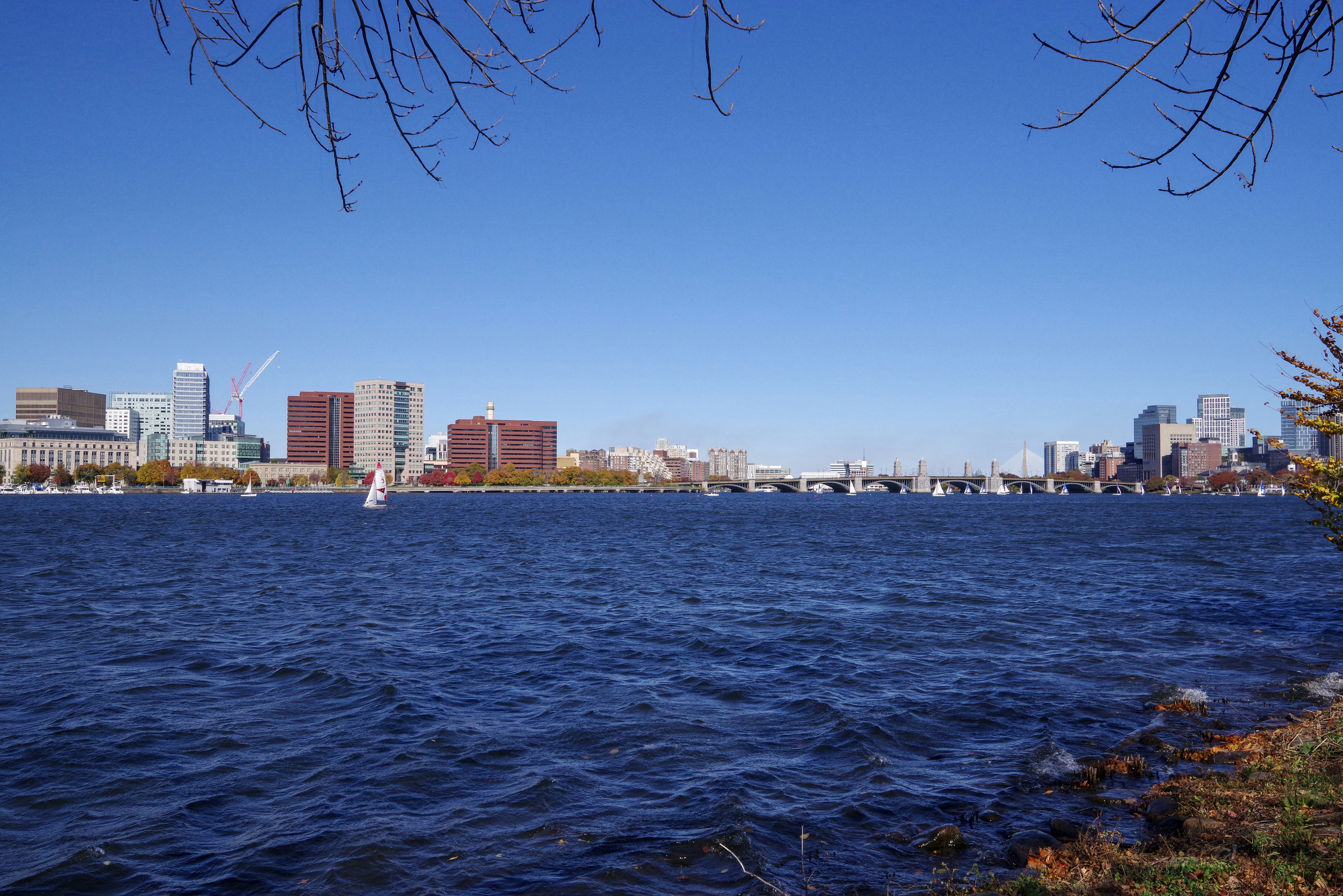 Photo by satishdharmavarapu