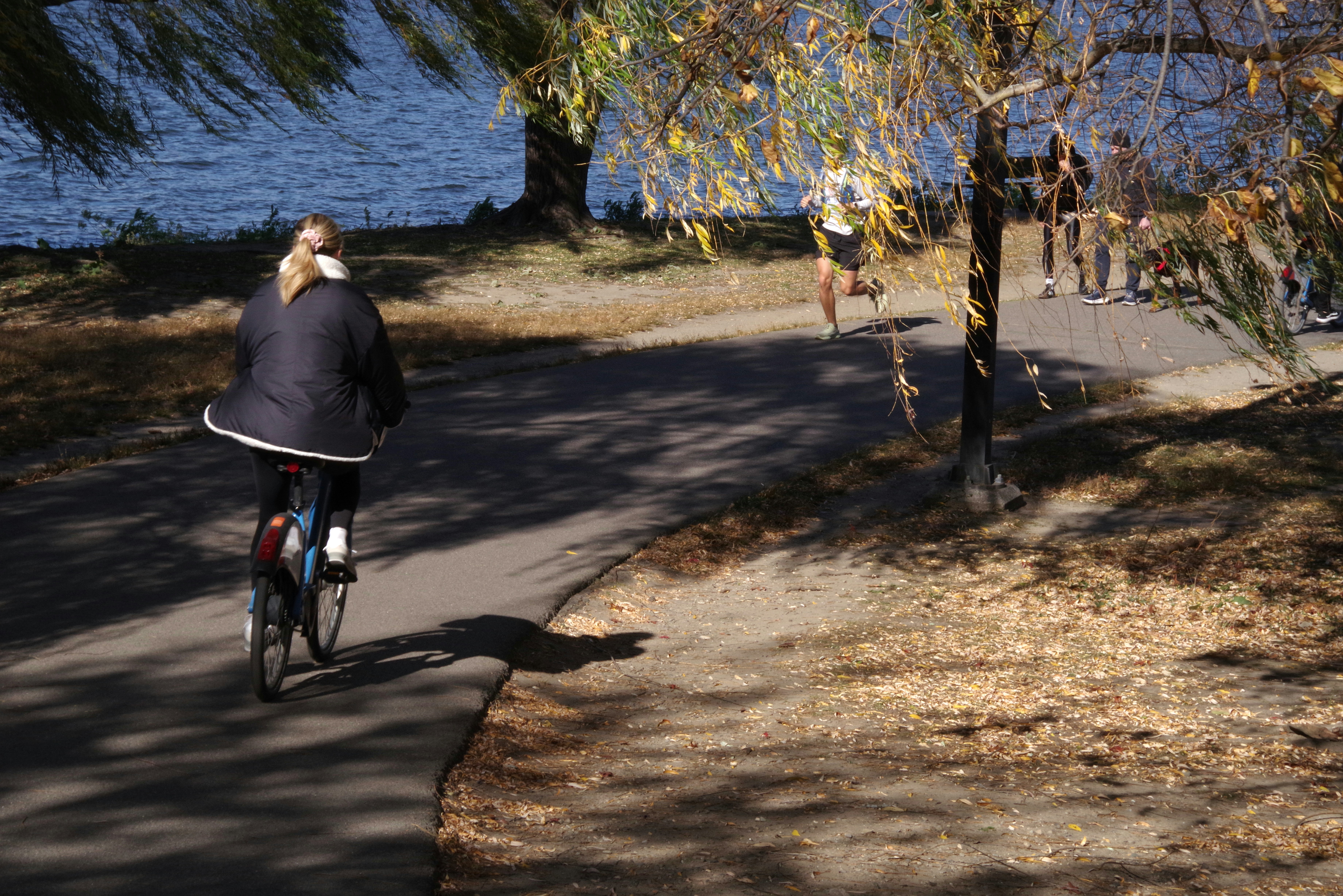 Photo by satishdharmavarapu