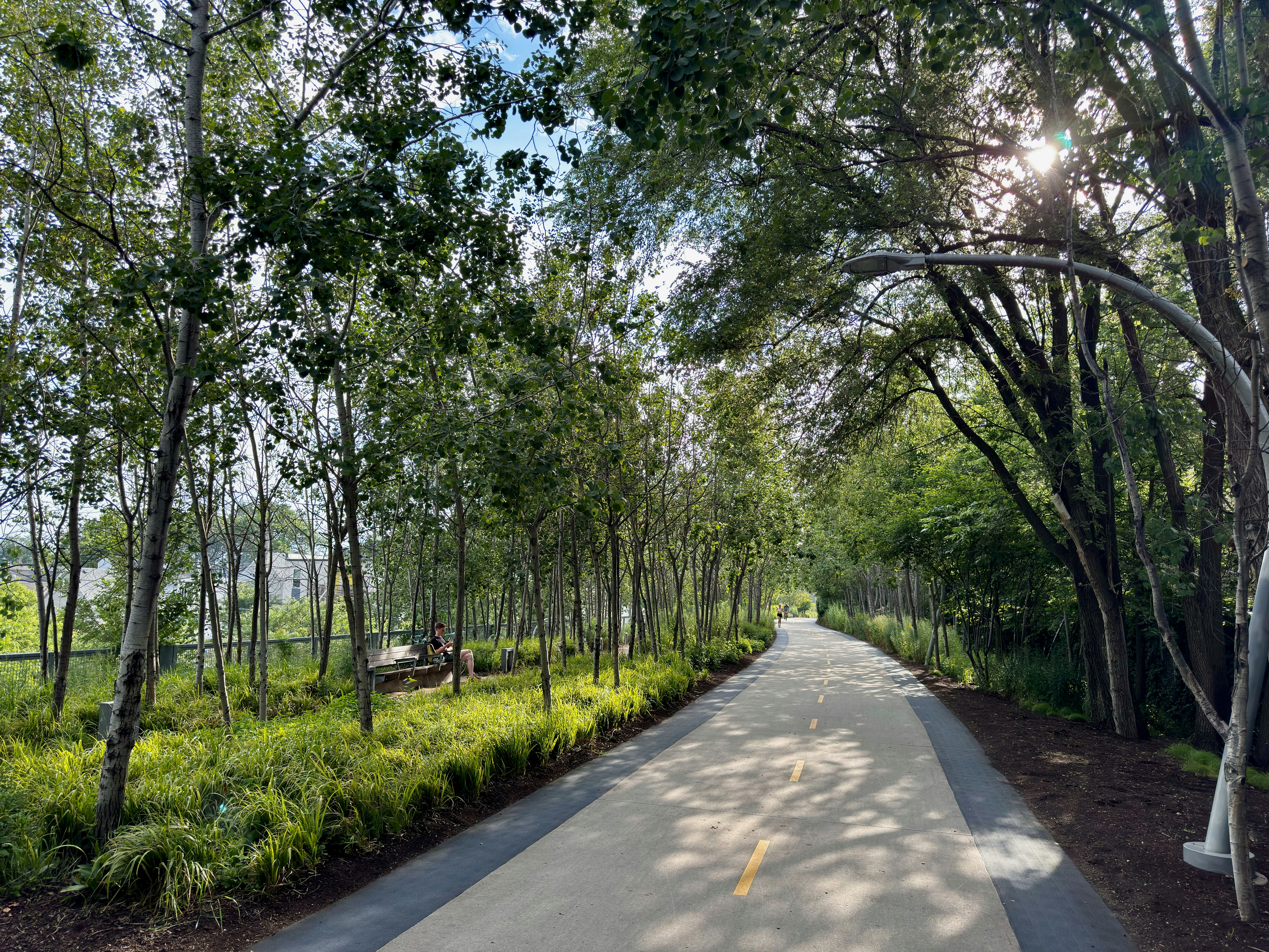 A street with trees on both sides of it