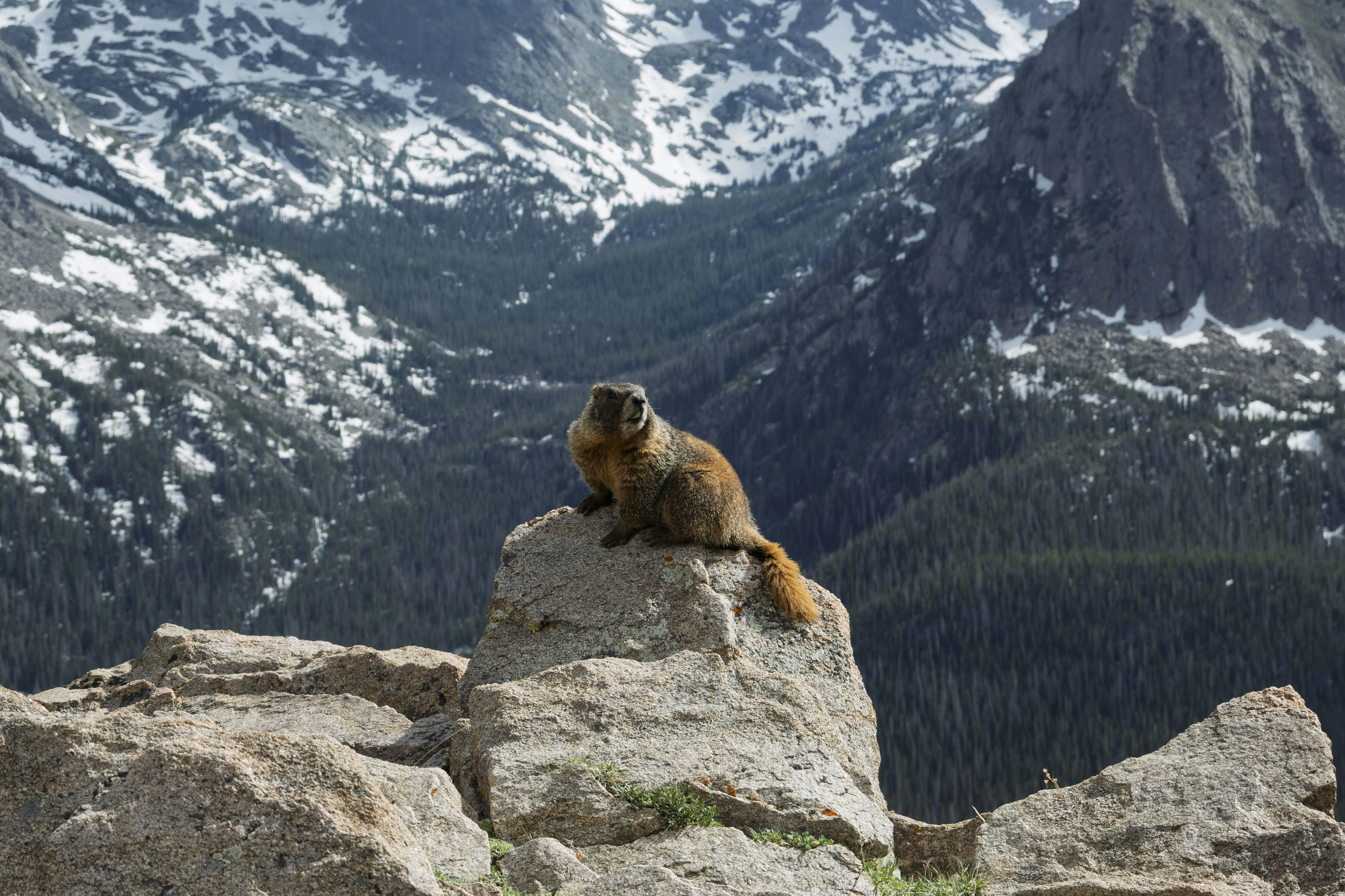 Denver Rocky Mountain Adventure