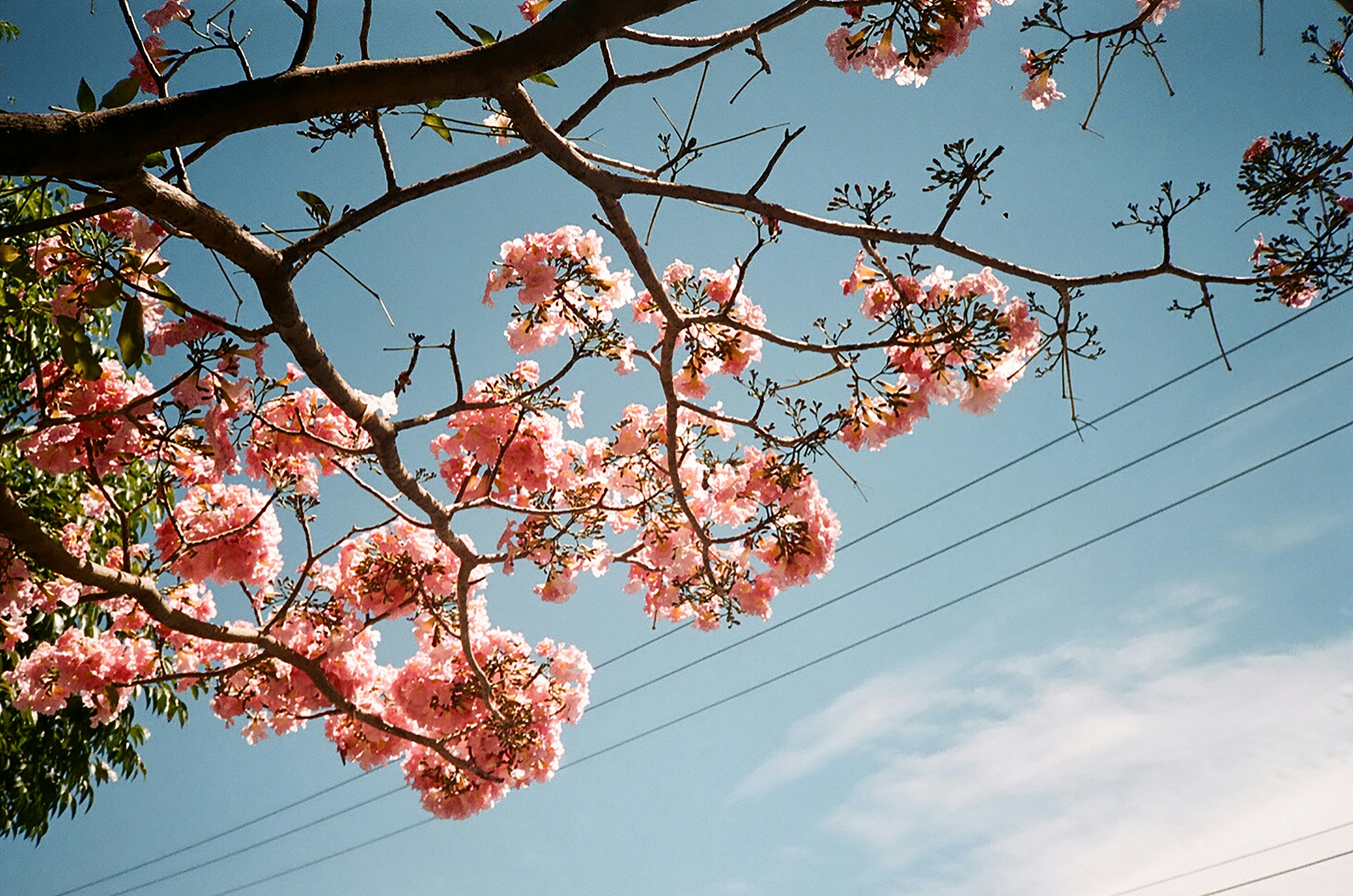 Photo by metttanoia