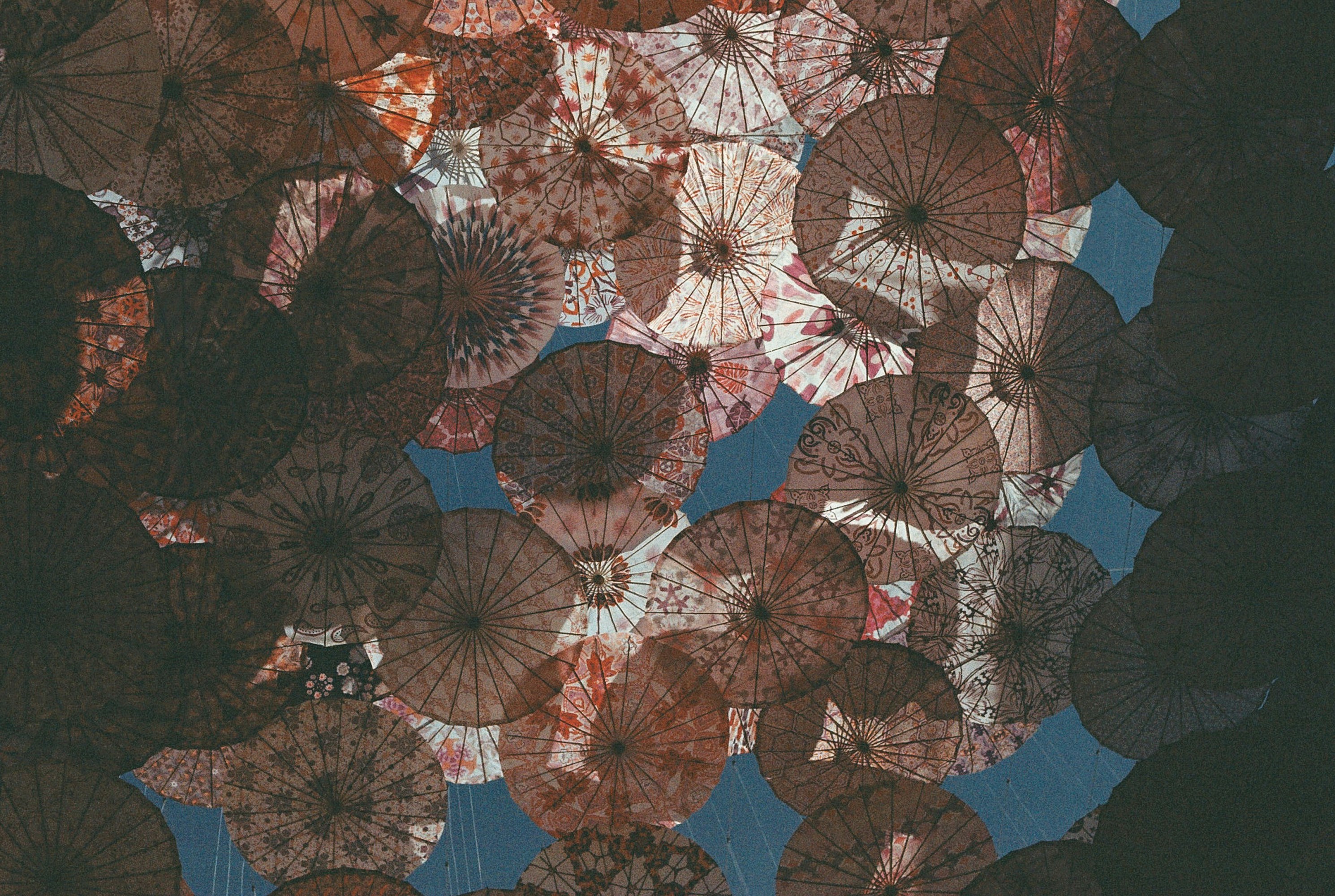 A bunch of flowers that are sitting on a table