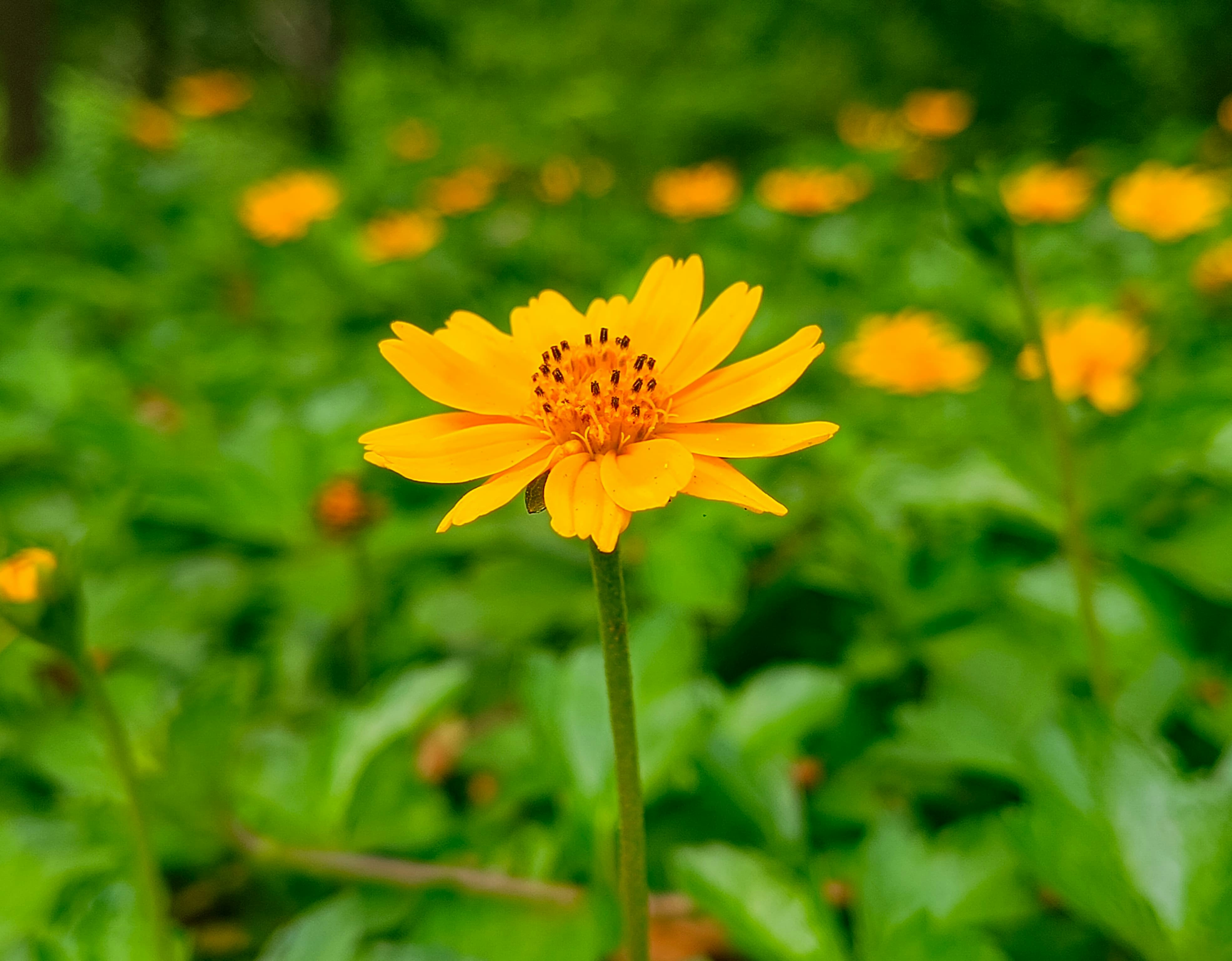 Photo by floatingfish8