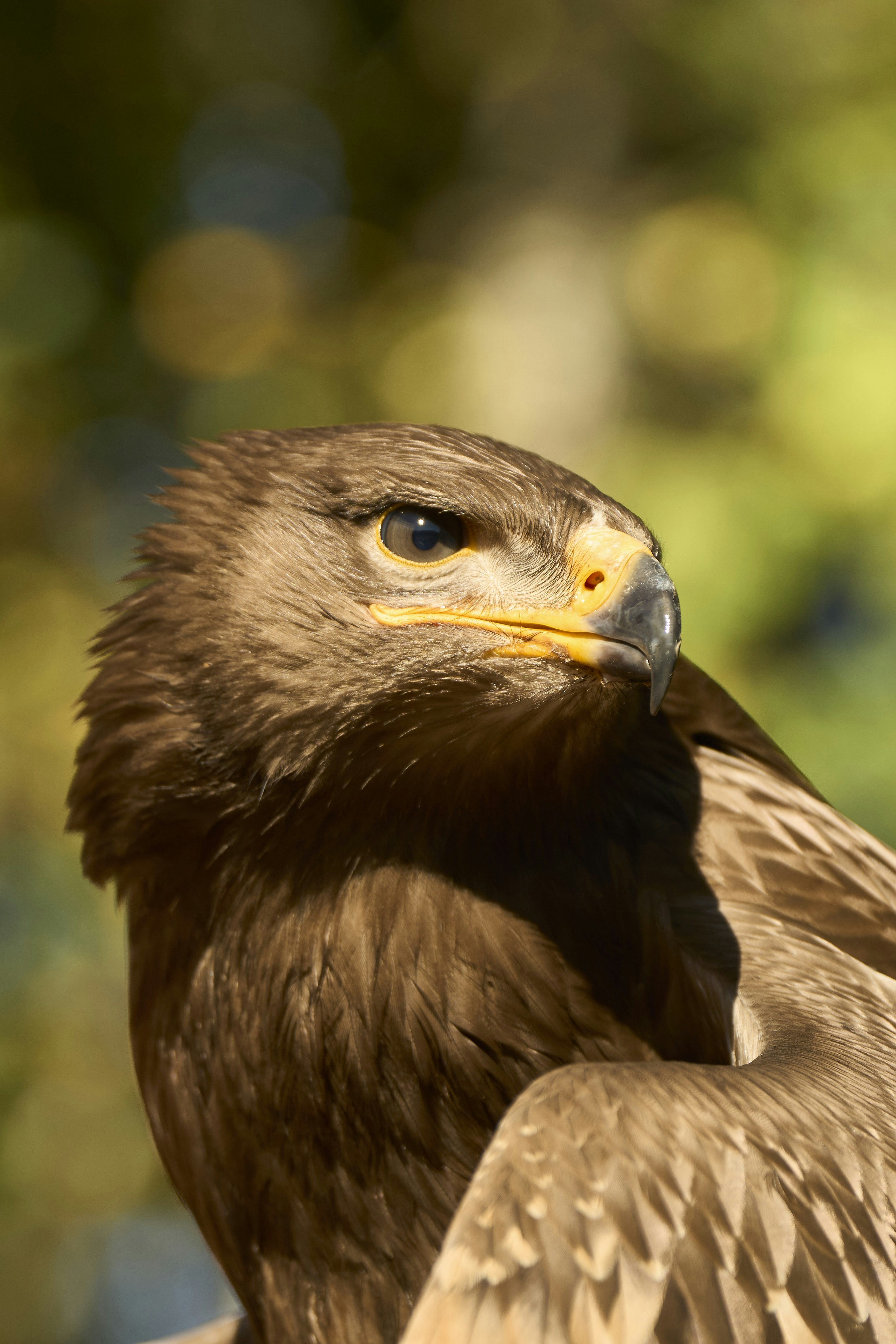 Photo by wolfgang_hasselmann