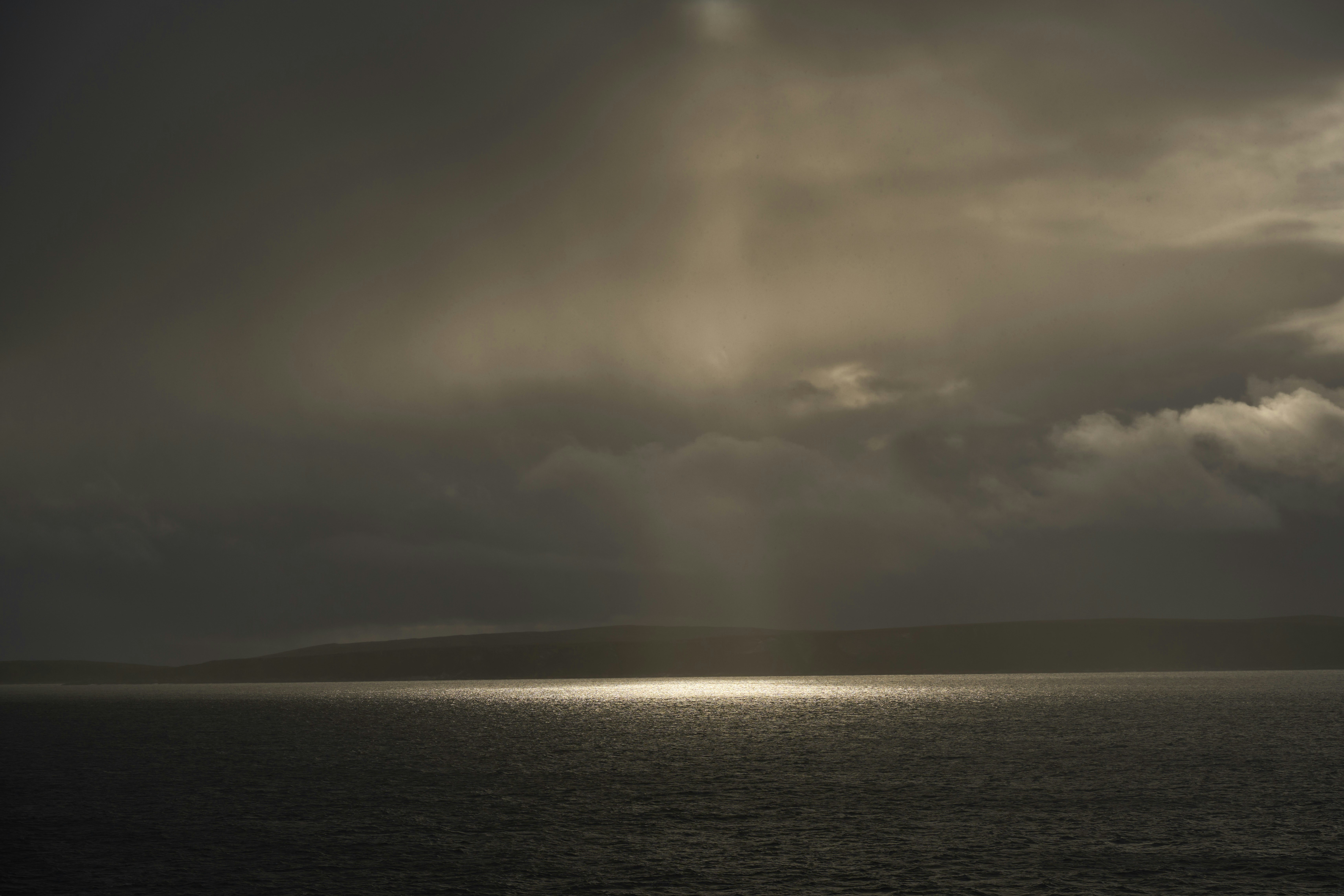 Photo by wolfgang_hasselmann