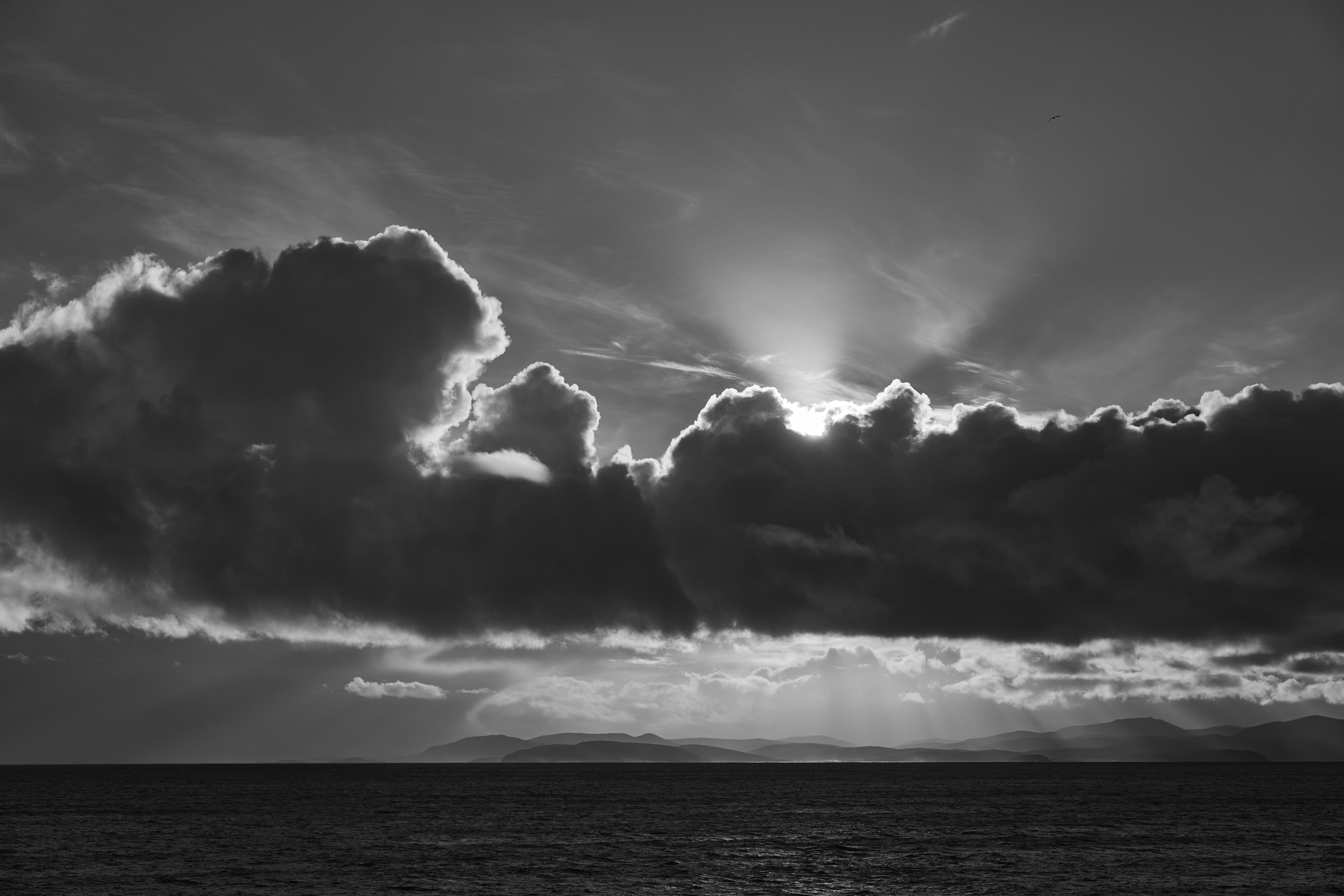 Photo by wolfgang_hasselmann