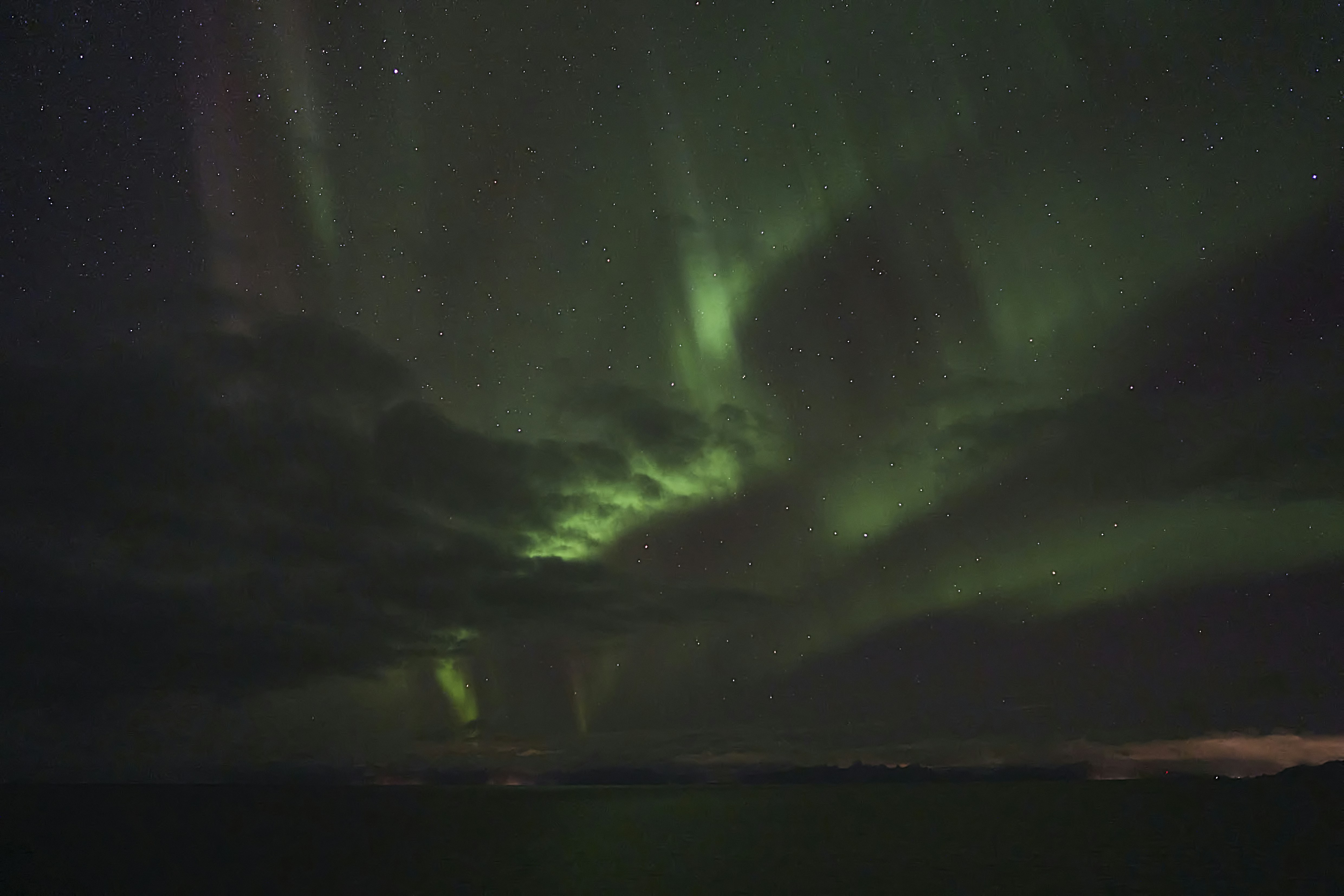 Photo by wolfgang_hasselmann