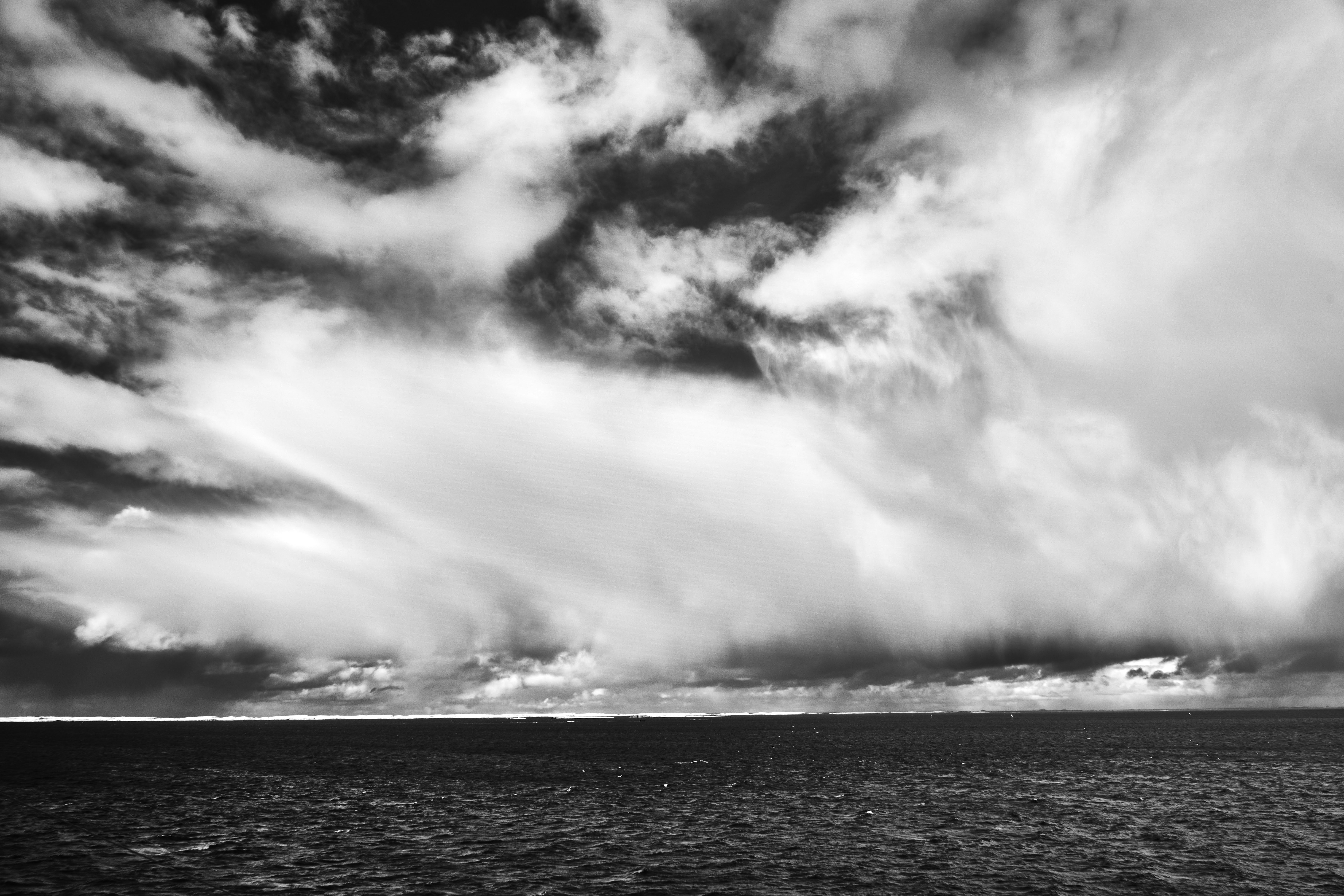 Photo by wolfgang_hasselmann