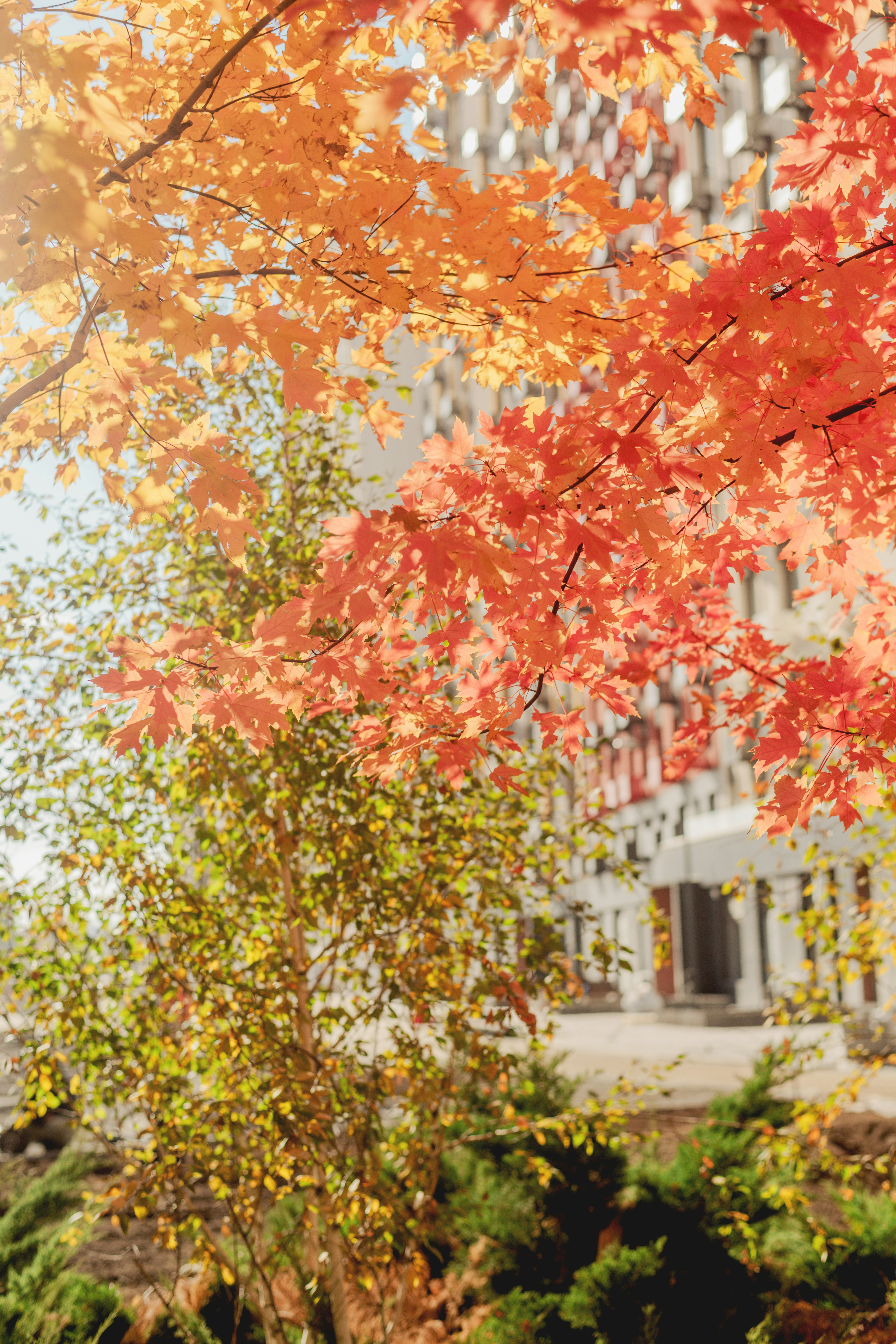 Photo by eugenivy_now