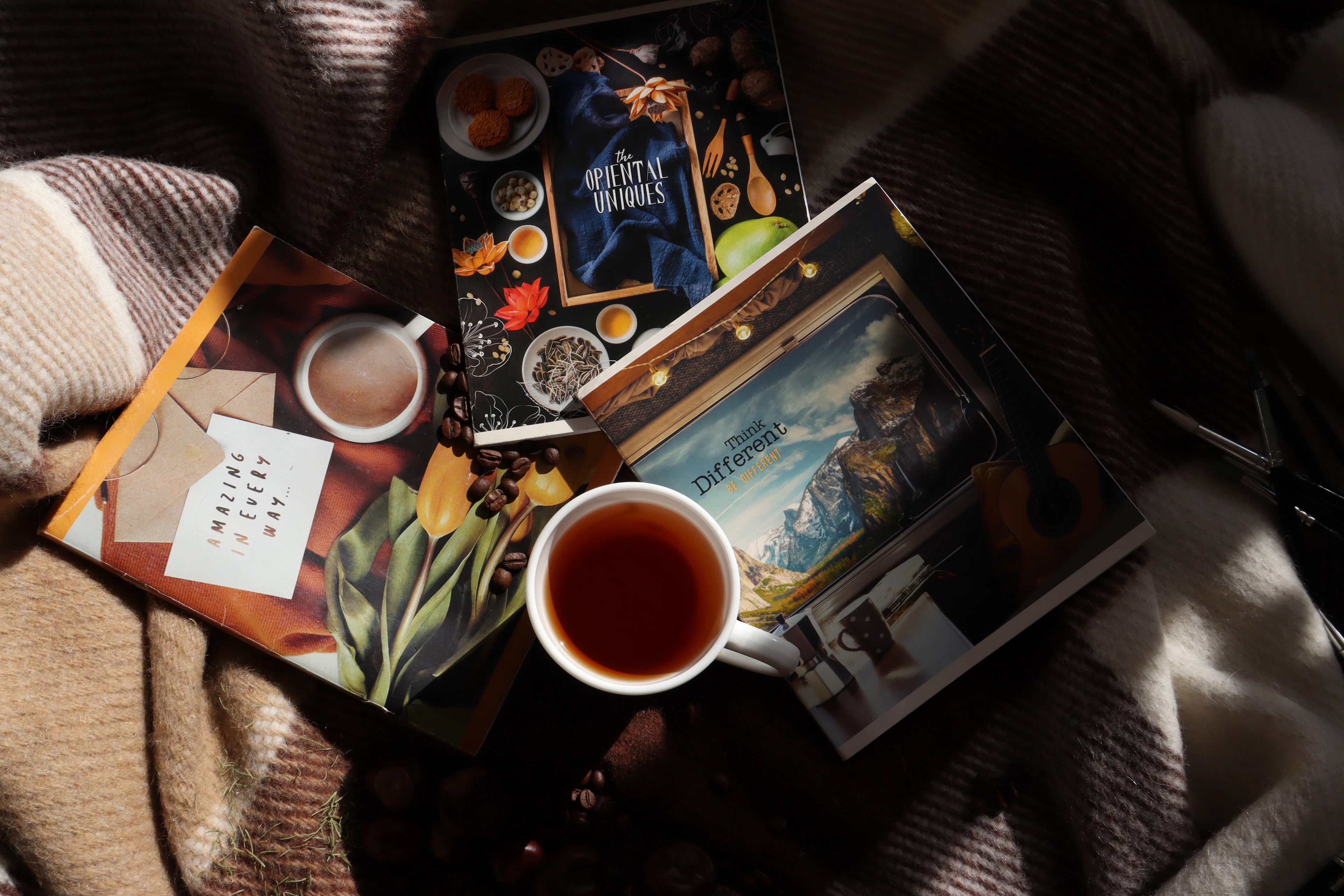 Battaniyenin üzerinde bir fincan çay ve kitap