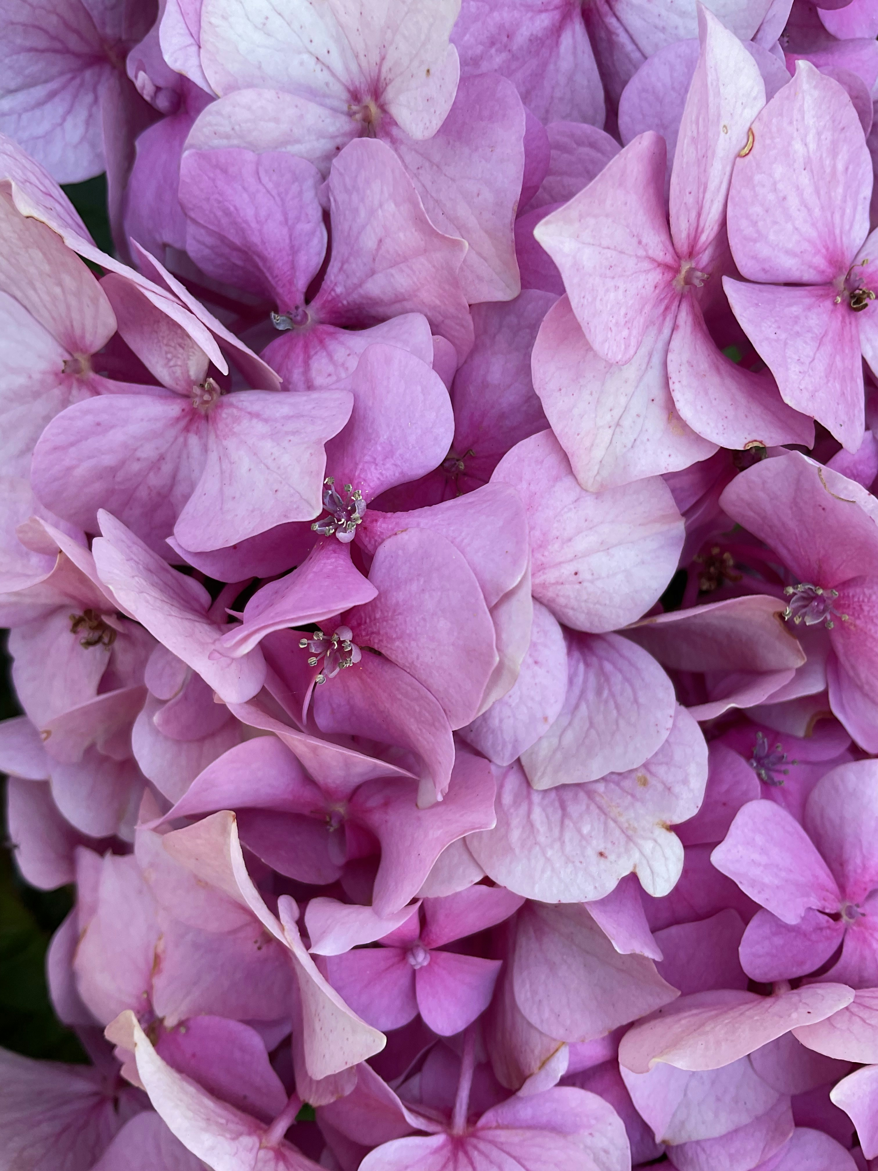 Photo by woodsartcrafts